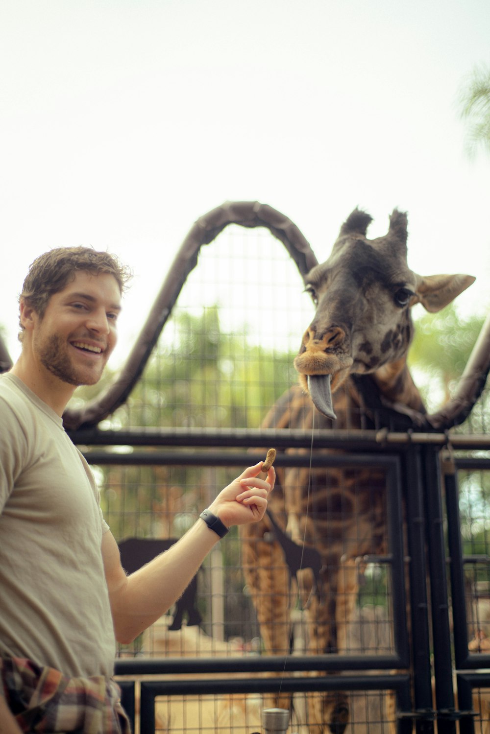 a person standing next to a giraffe statue