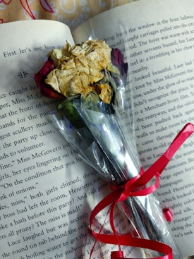 A dried rose bouquet wrapped in plastic, tied with a red ribbon, is placed on the open pages of a book. The pages contain black text on a cream background. The background also includes hints of a patterned fabric.