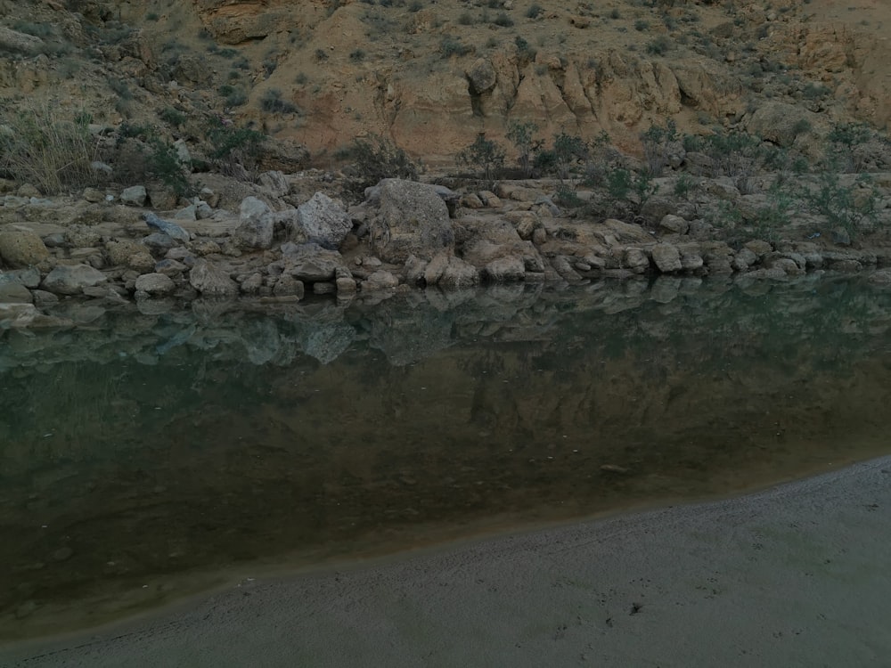 a body of water with rocks and grass around it