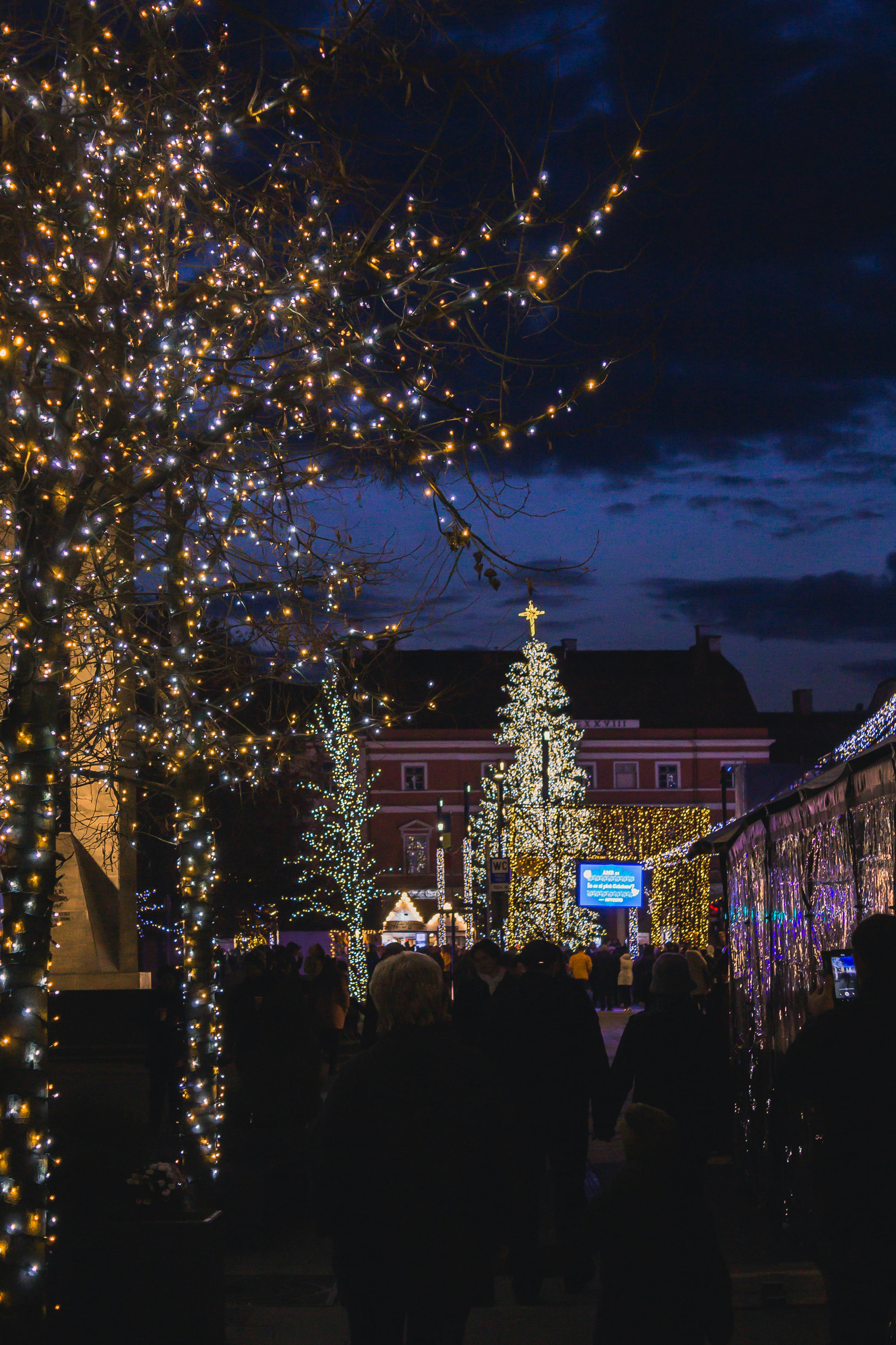 Photo by anamariacalugar