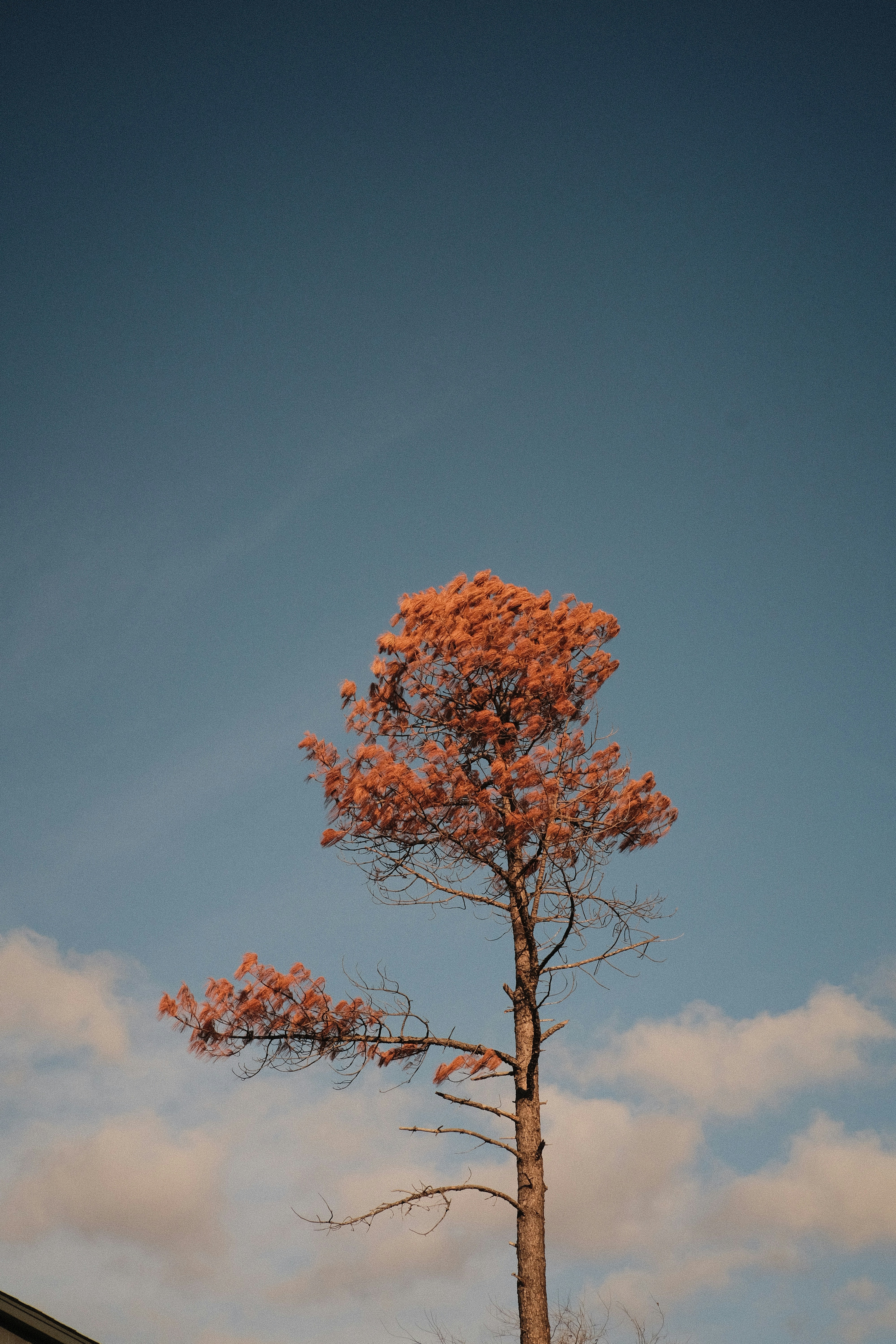 Photo by _jacksoonw_