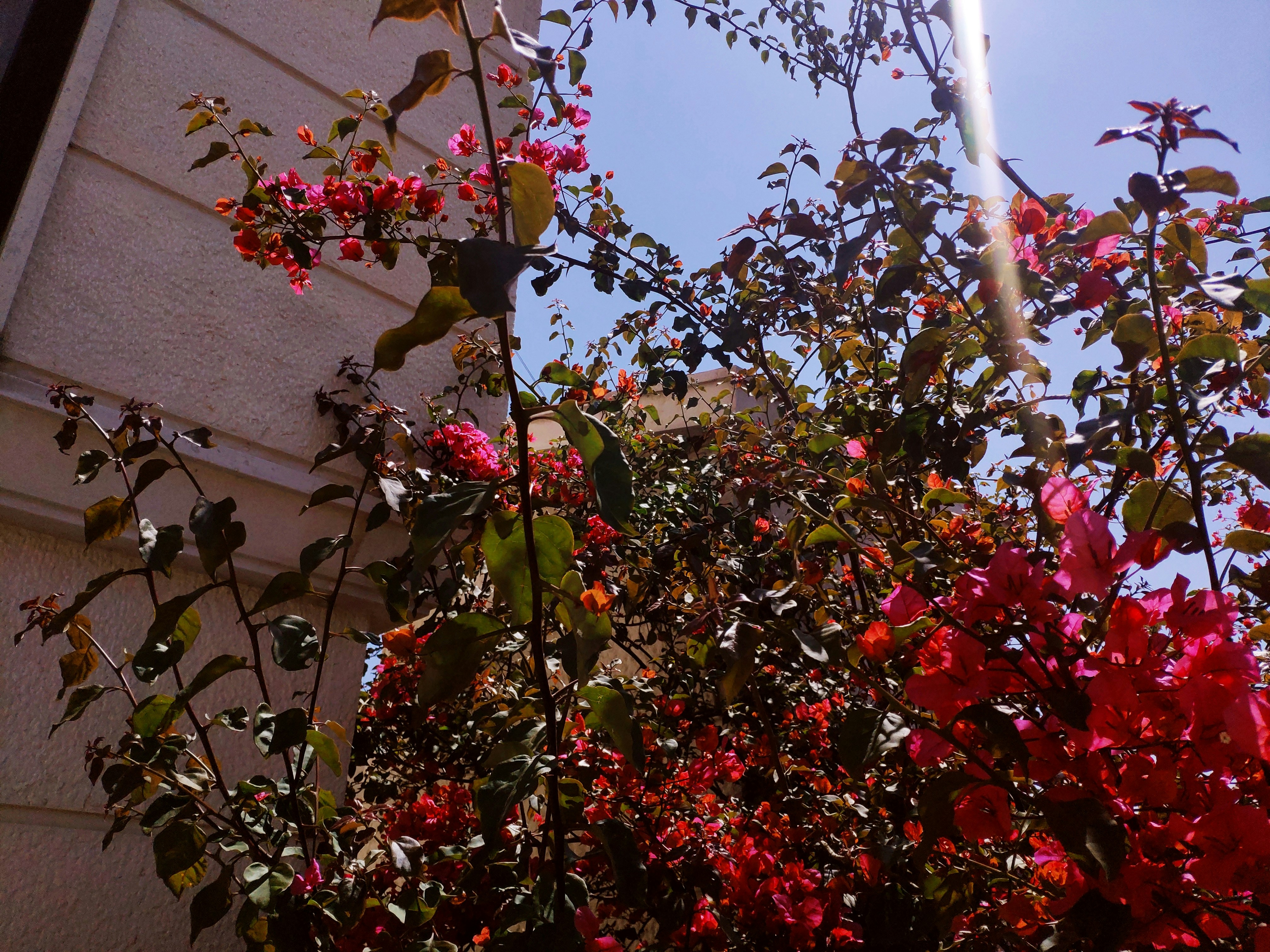 Photo by vincenzodionisio