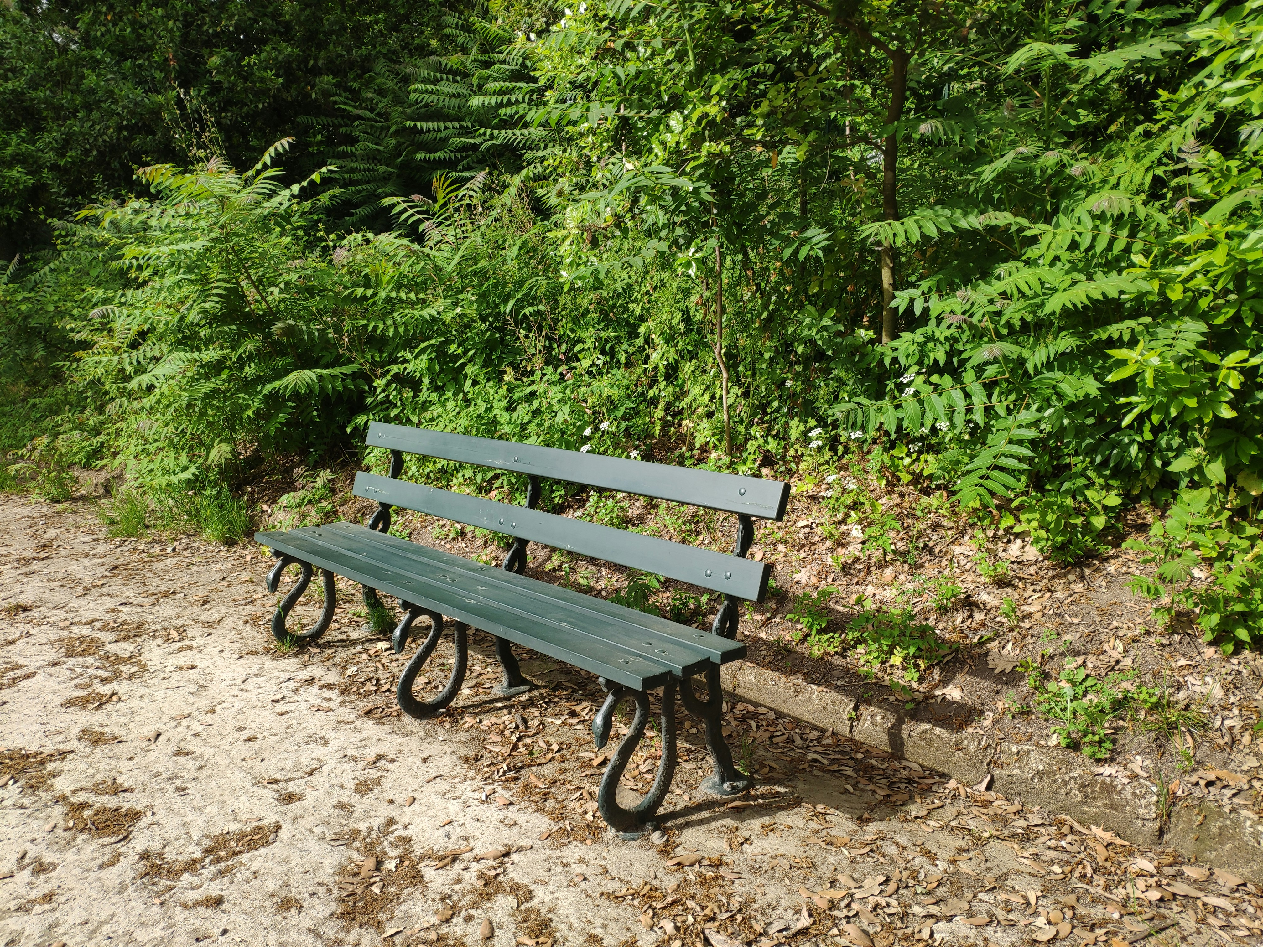 Photo by vincenzodionisio