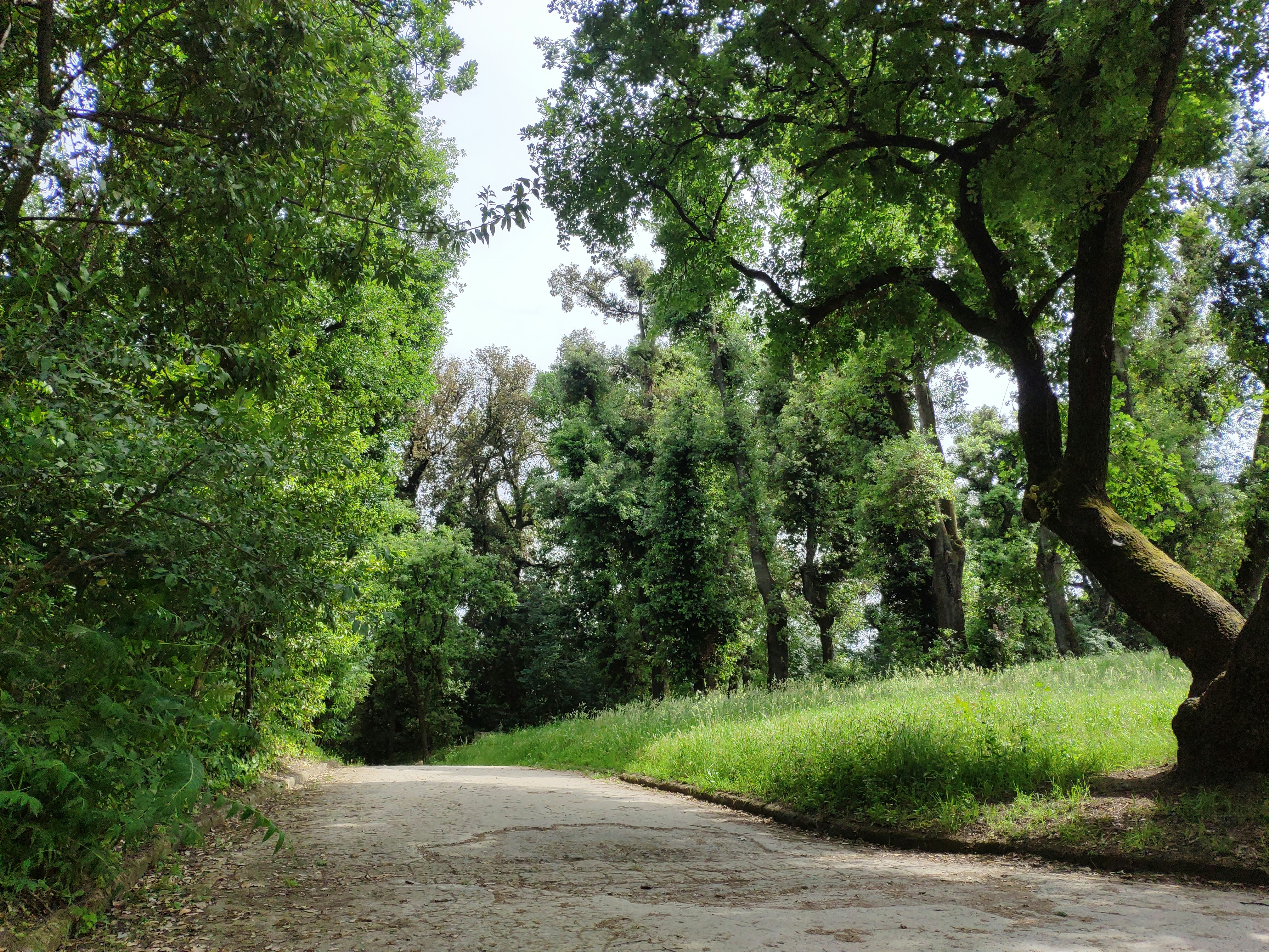 Photo by vincenzodionisio