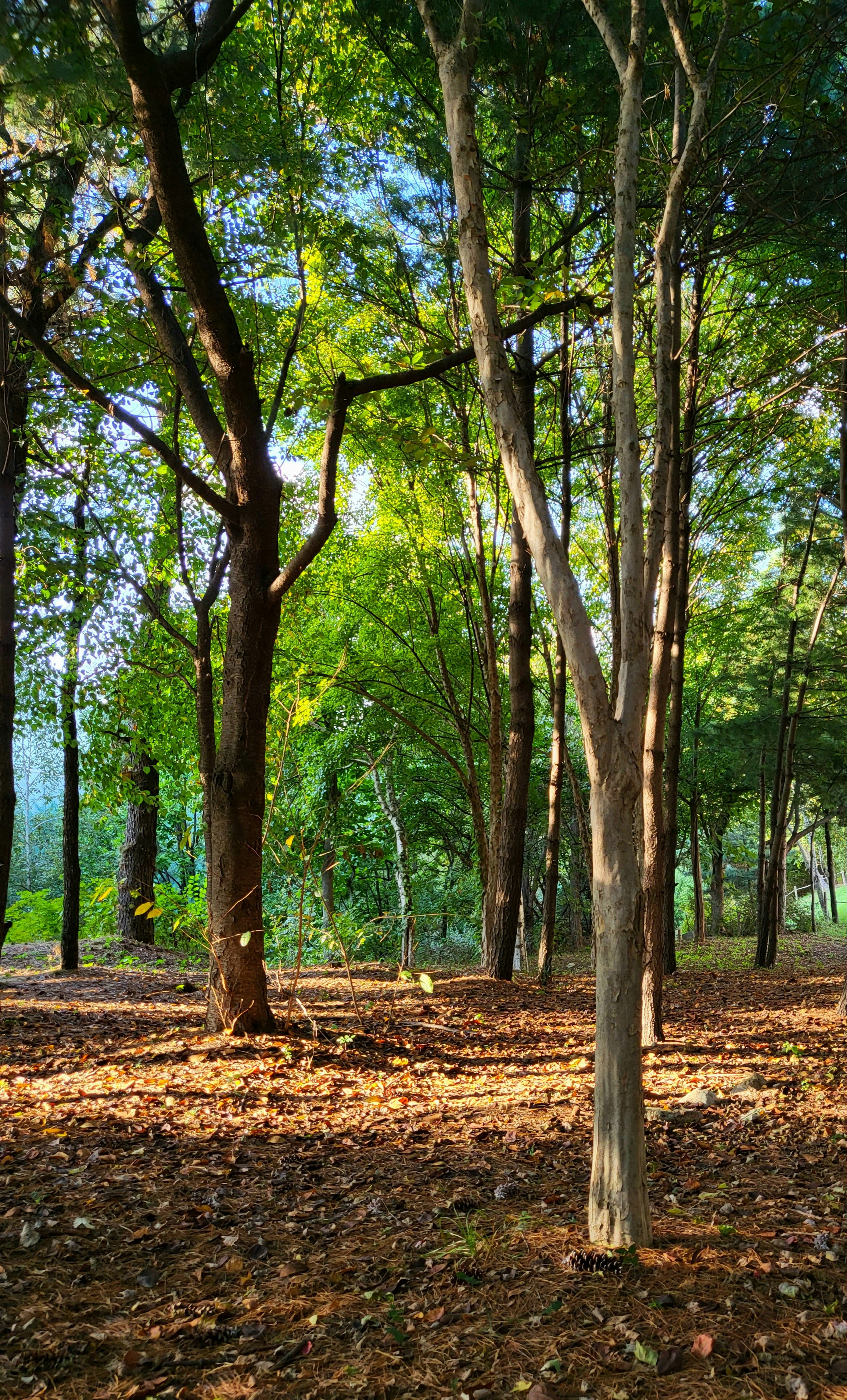 Photo by soflightsto