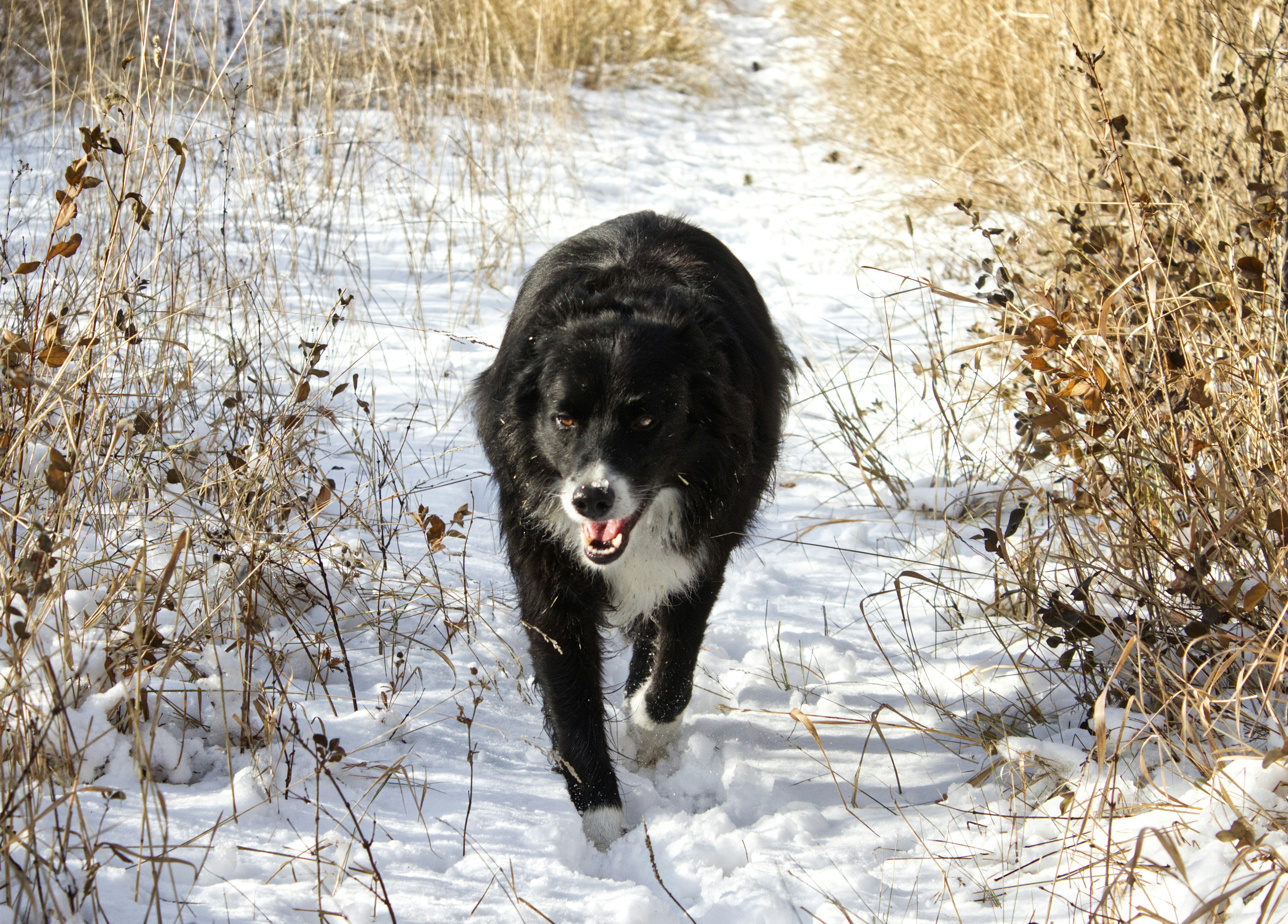 Photo by frozenmoments