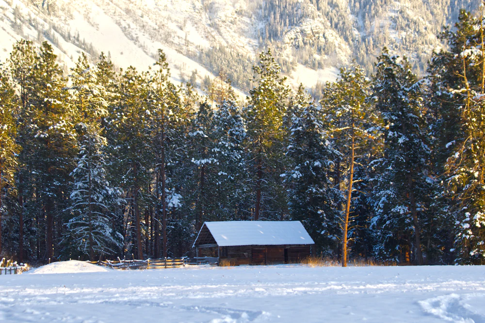 Cabin in the snow
