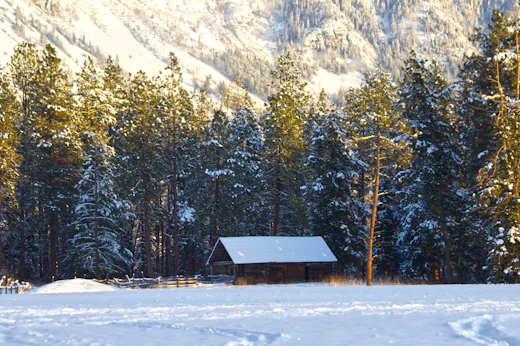 Cabin holding a fresh snow load