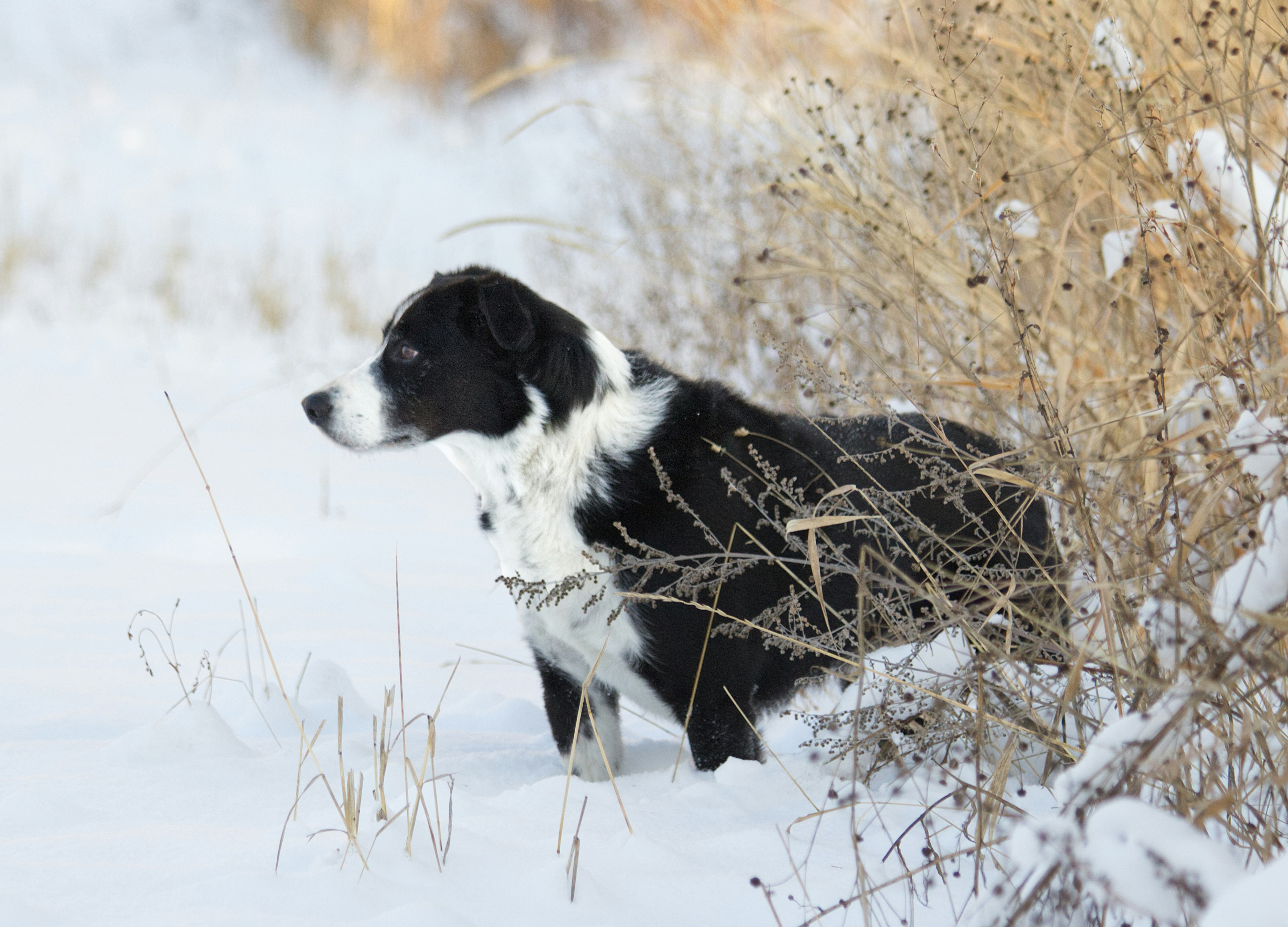 Photo by frozenmoments