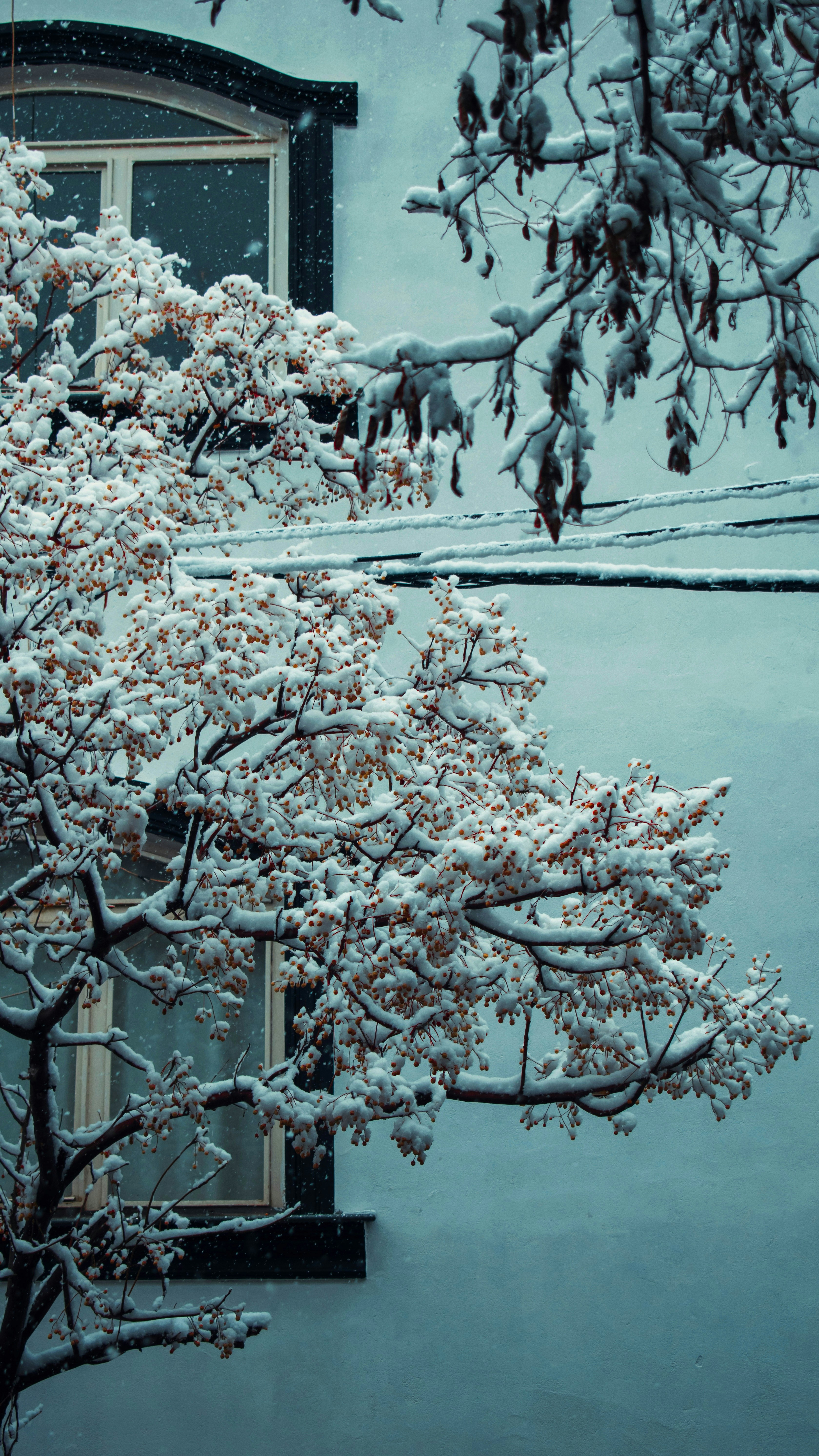 Photo by ilostmyselfout