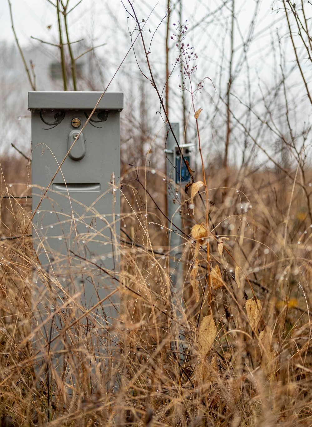 a birdhouse in a tree