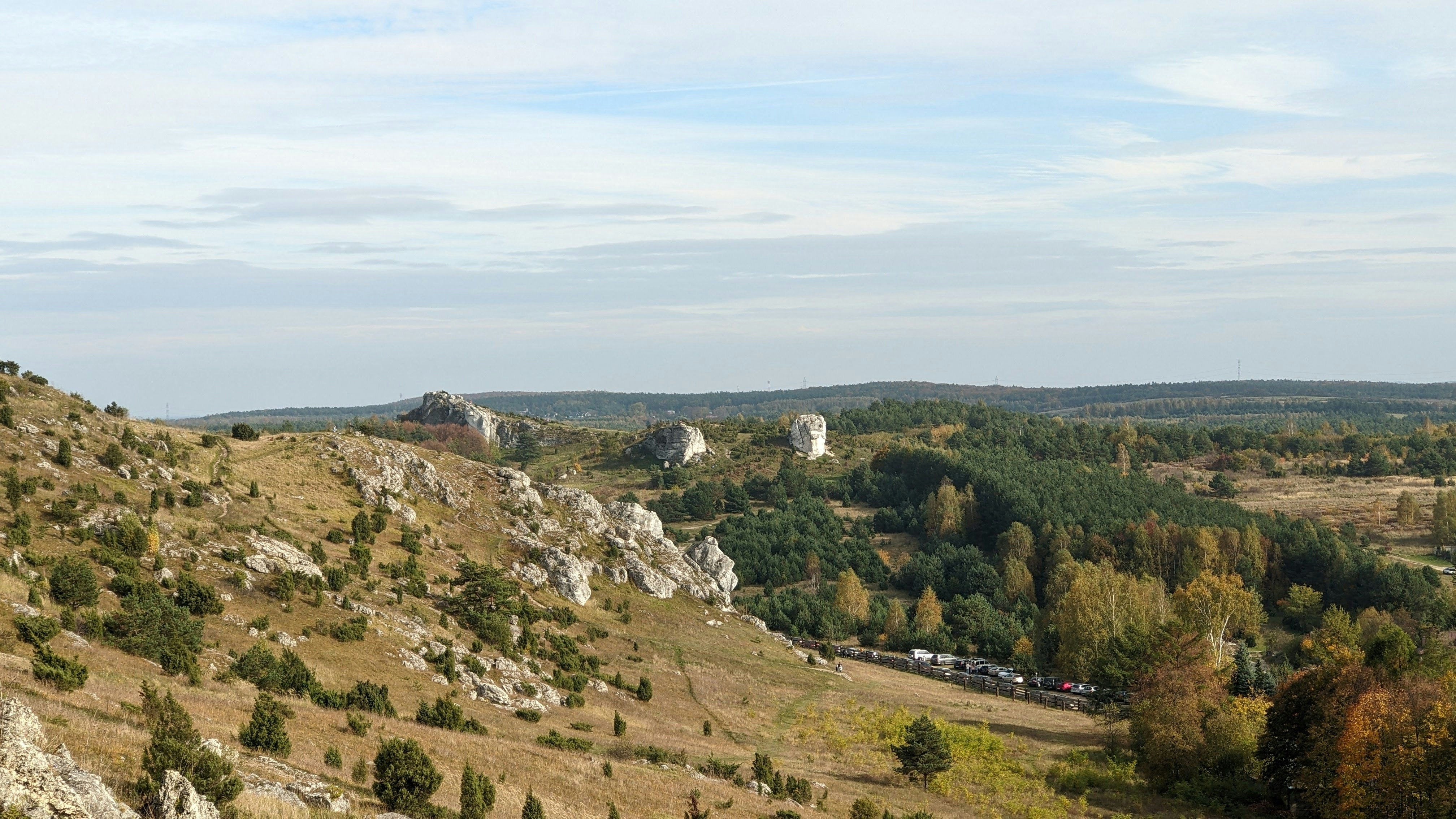 a landscape with trees and a road