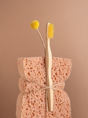 A natural sponge with a rough texture is tied around the middle with twine. An eco-friendly bamboo toothbrush with yellow bristles and a single yellow billy button flower are nestled into the sponge. The background is a soft beige color, complementing the neutral tones of the sponge and toothbrush.