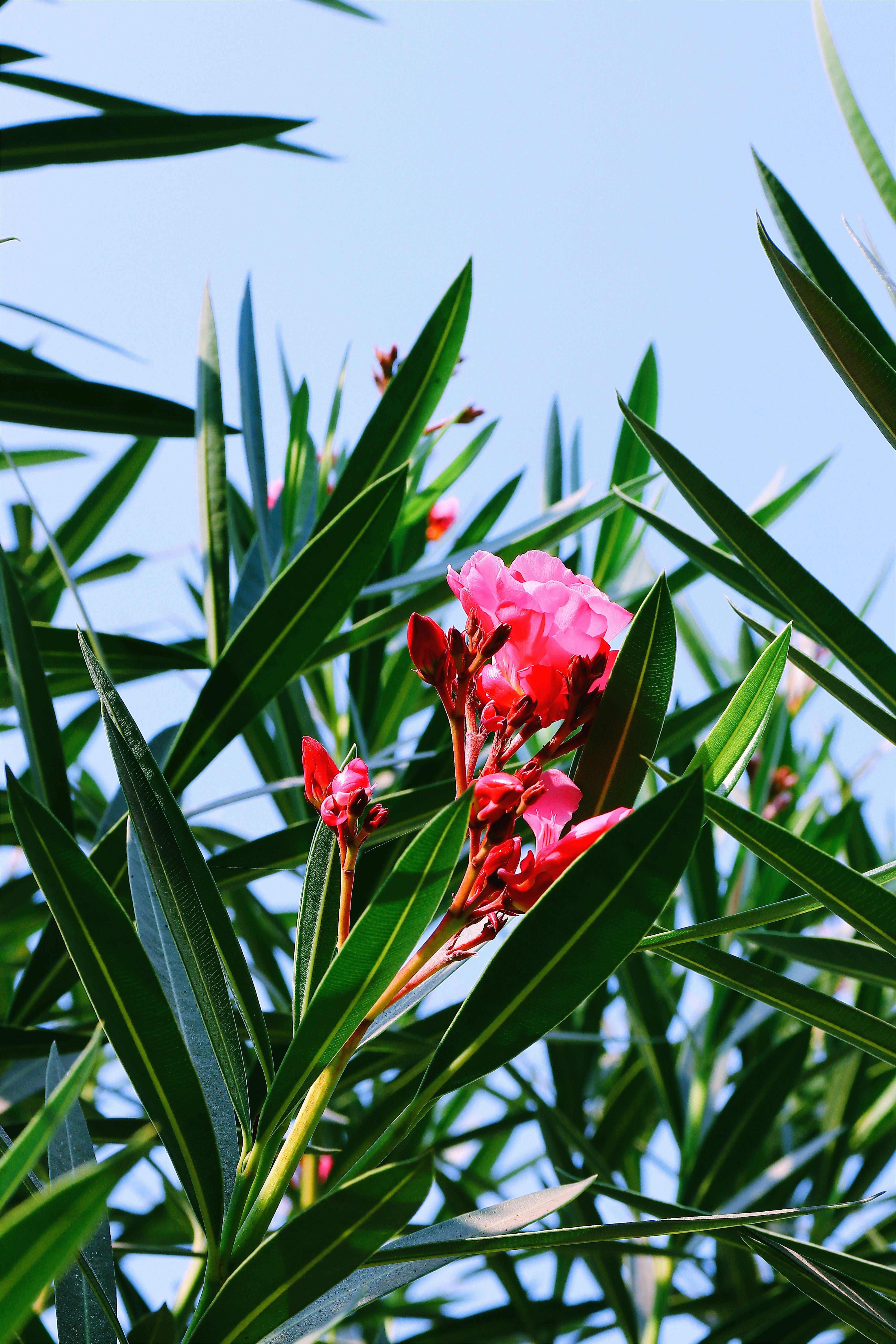 Photo by dpkvishwakarma04
