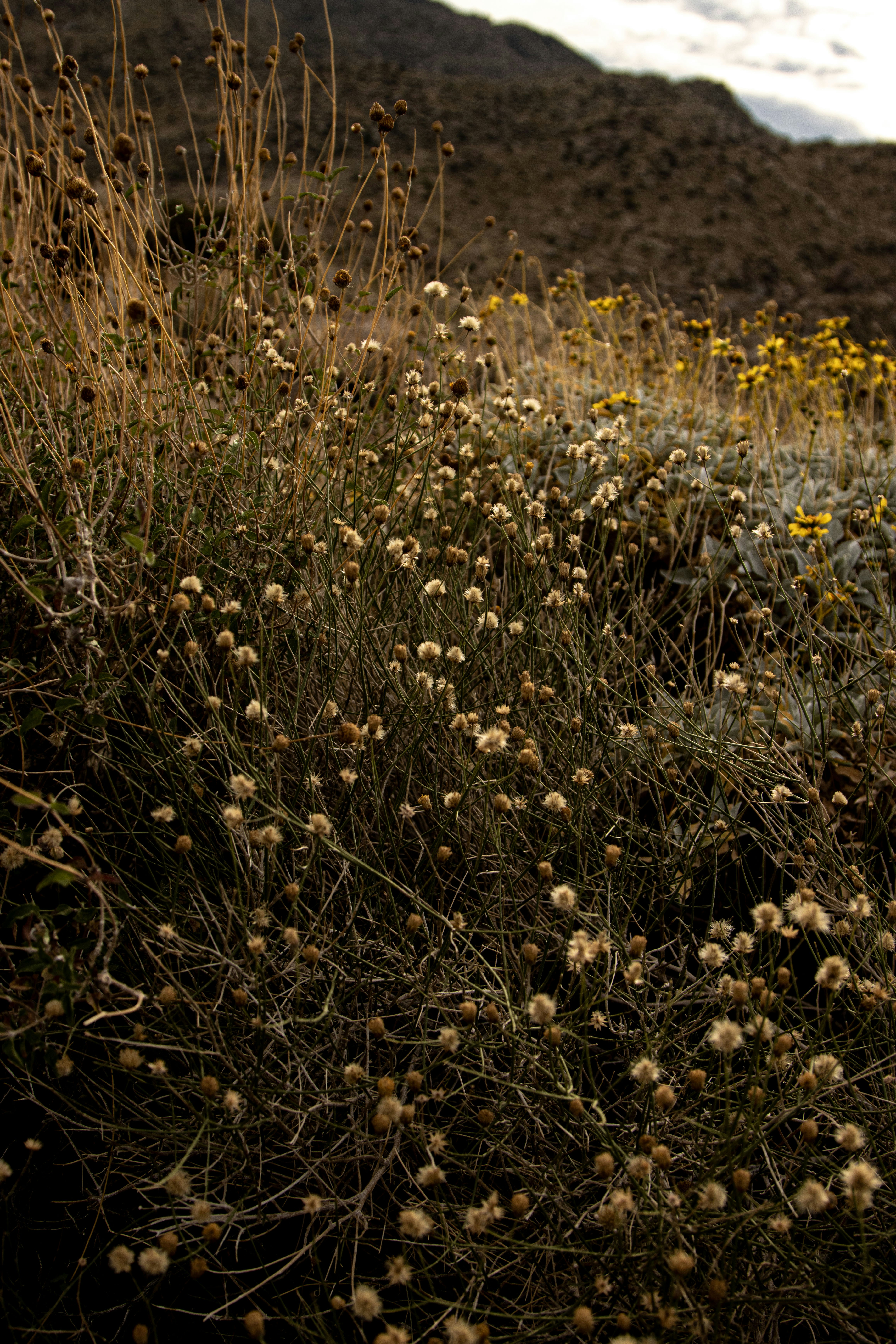 Photo by parkerdesignsss