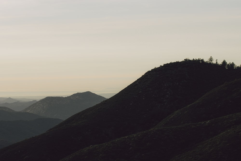 a large hill with trees on it