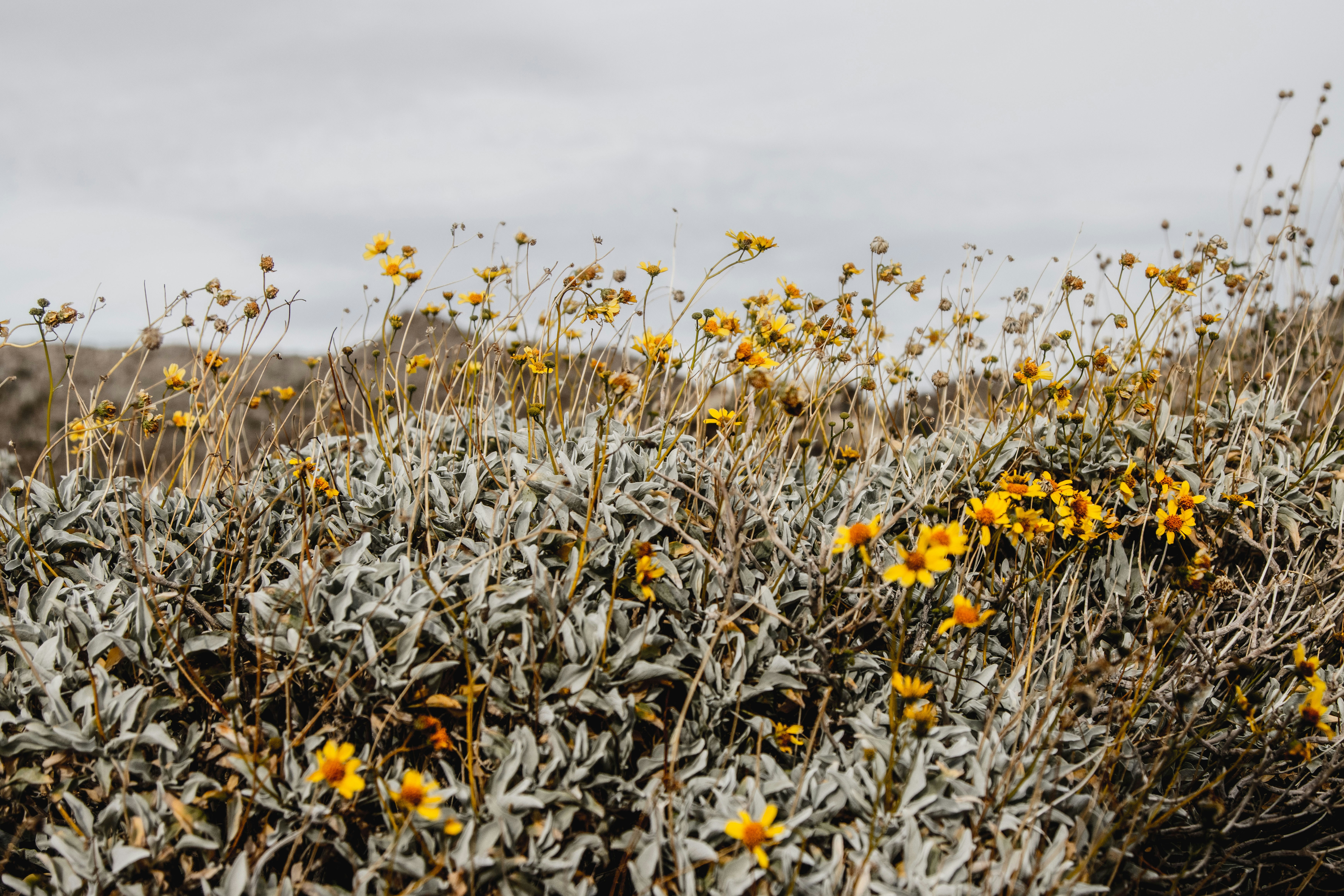 Photo by parkerdesignsss