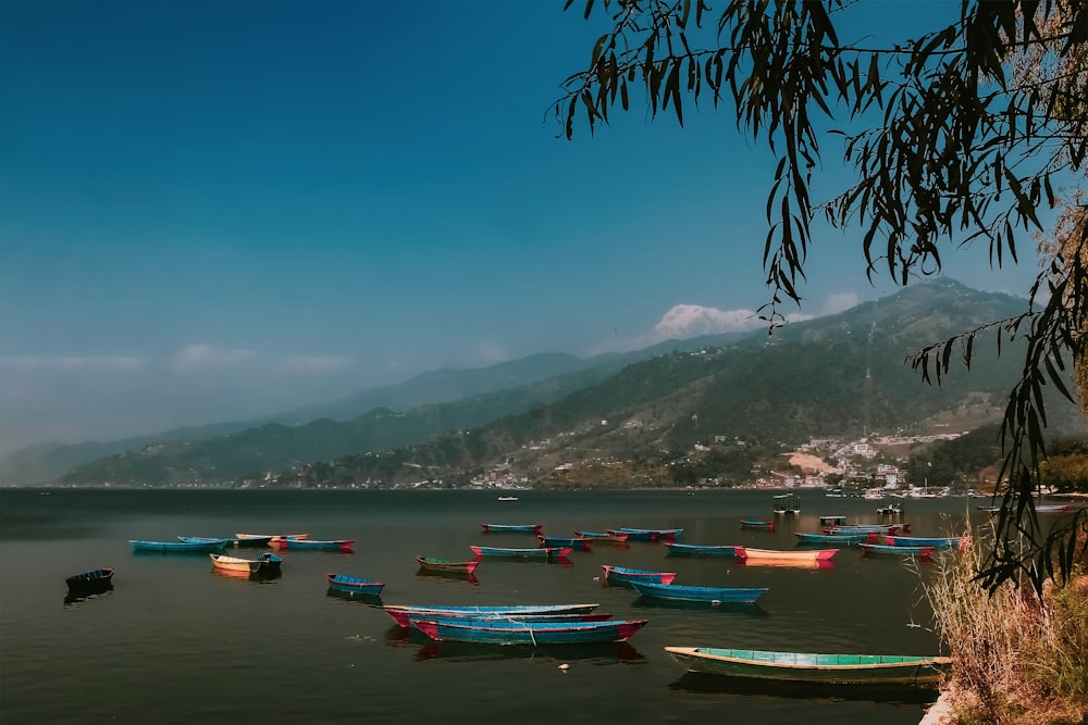 a group of boats sit in a harbor