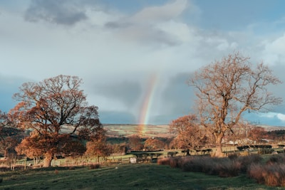 A calm sky after a storm with a rainbow over the countryside near Fürstenfeldbruck