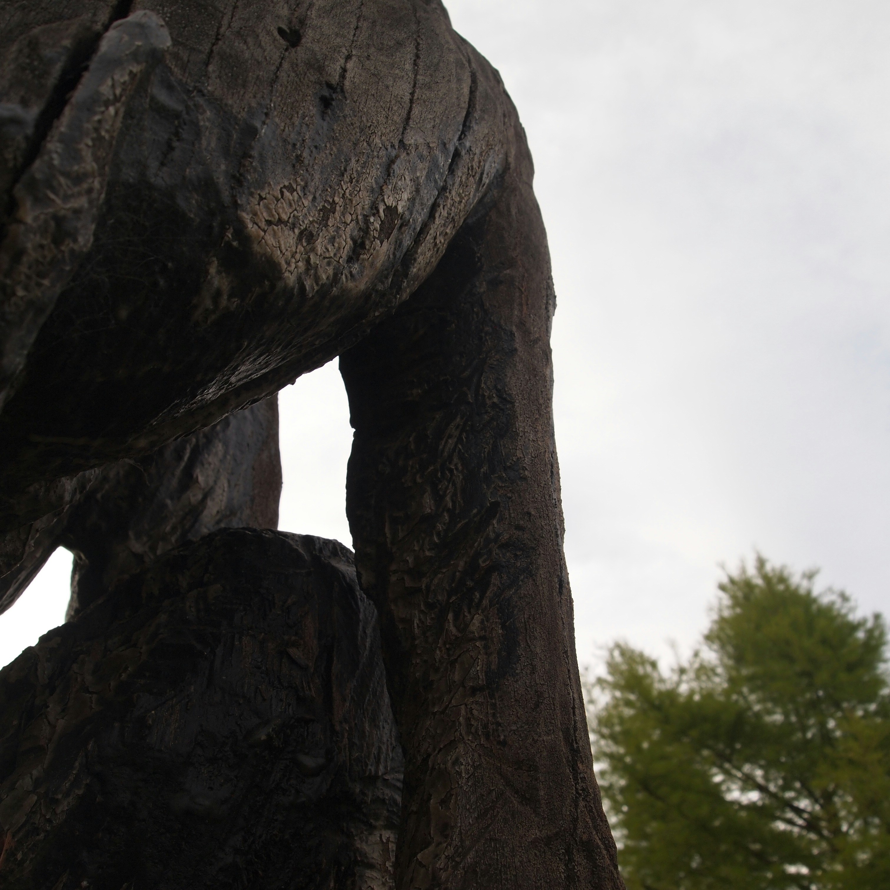 Photo by bluephoto118