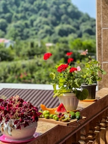 A vibrant scene featuring red flowers in pots on a balcony ledge. A selection of fresh fruits, including watermelon slices, grapes, limes, and cucumber, are arranged on a wooden board. In the background, a lush, green hill is visible under a clear blue sky.