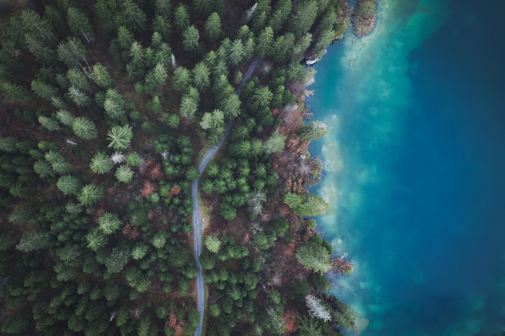 an aerial view of a beach