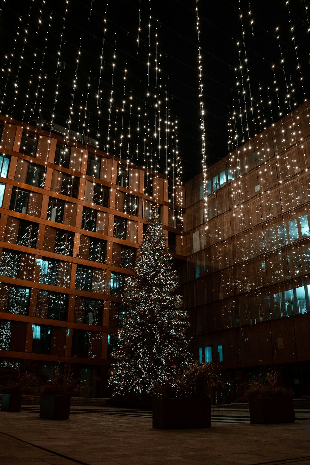 a tree with lights in front of a building