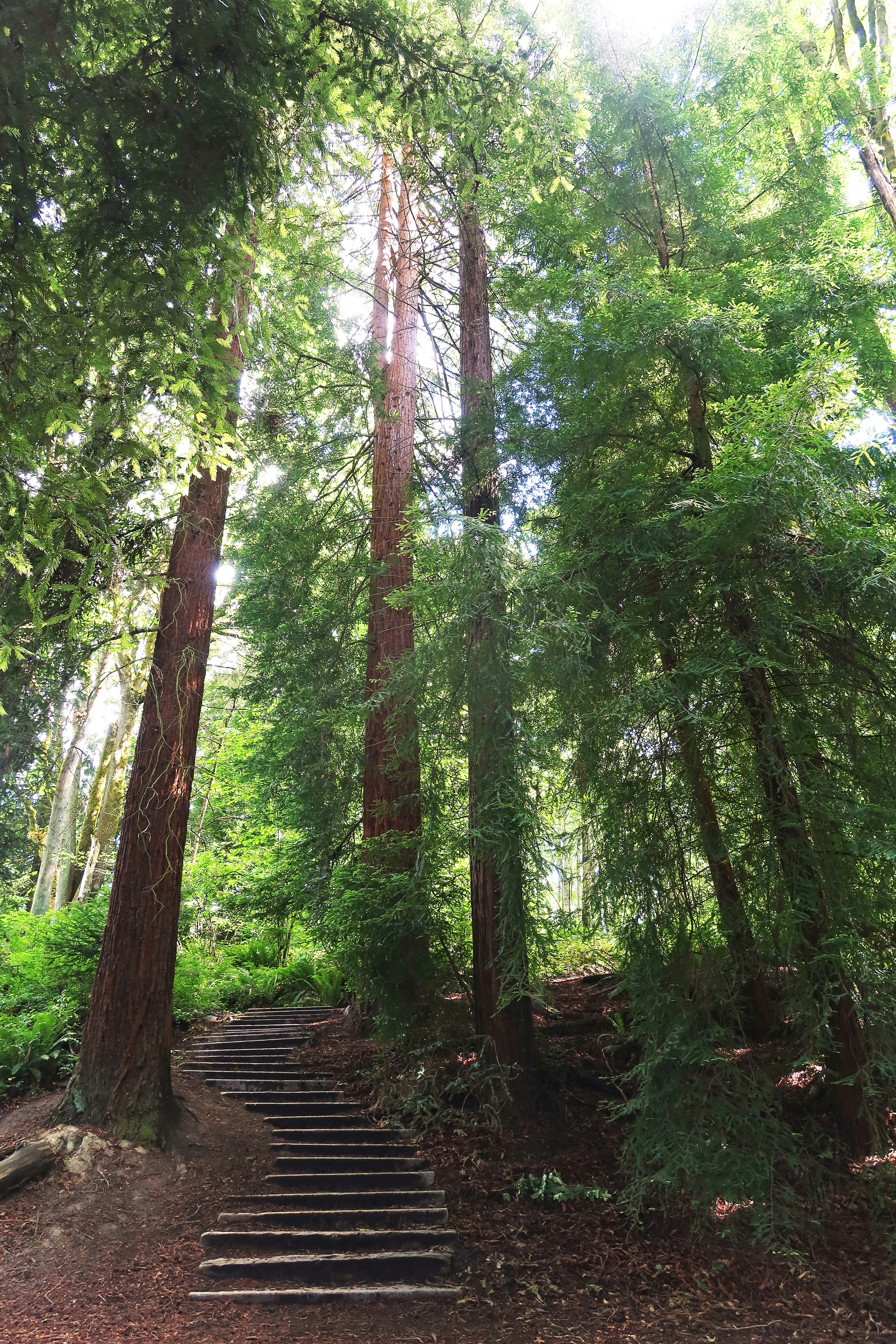 Interlaken Park Pictures Download Free Images on Unsplash