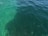 The image captures the clear waters of the ocean or a large body of water. The water near the surface appears to be a lighter shade of green, transitioning to a darker green as it gets deeper. Small fish or marine life can be seen swimming underwater.