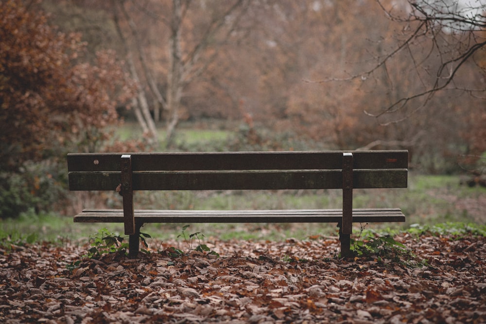 a bench in a park