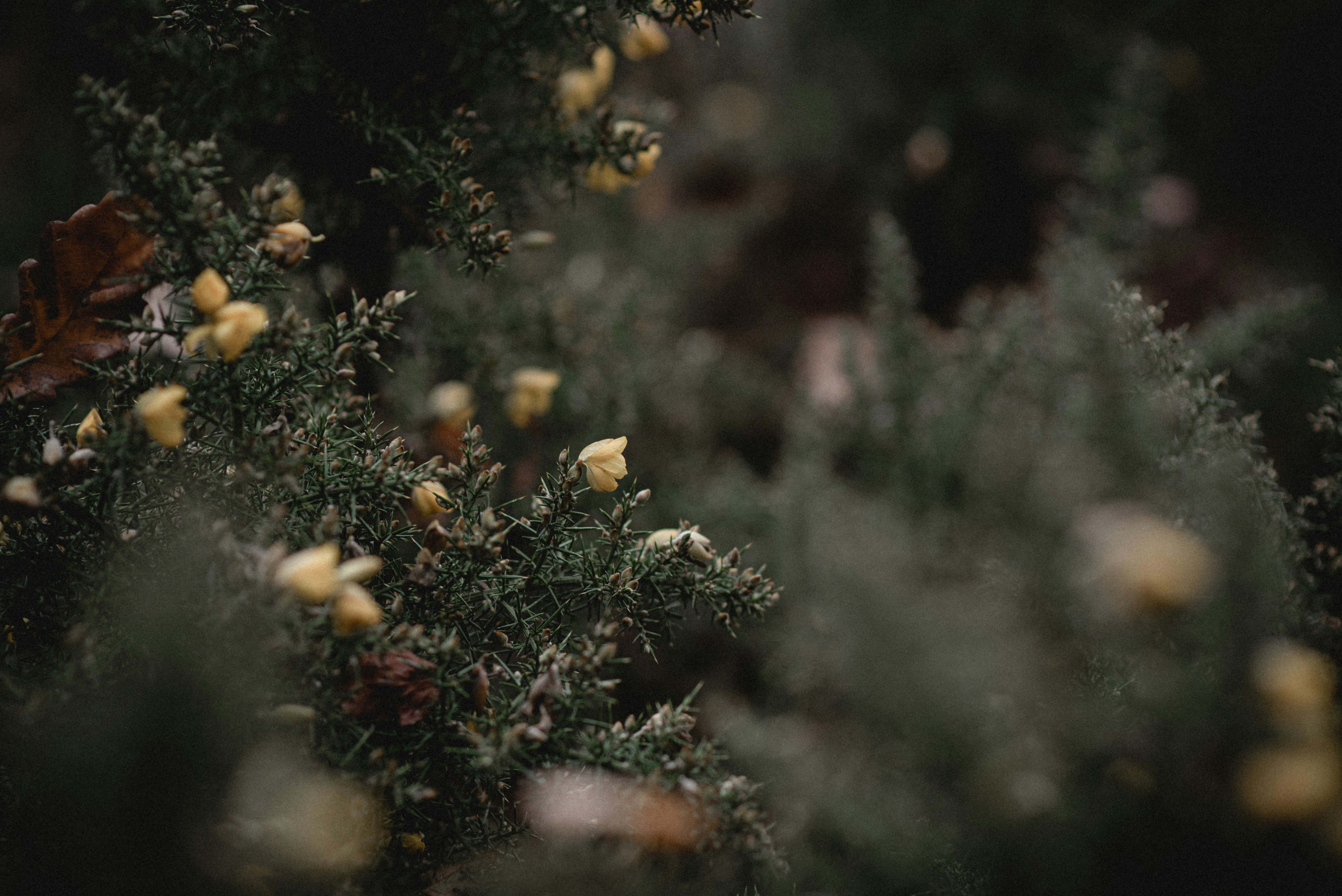 Photo by ellyendeavours