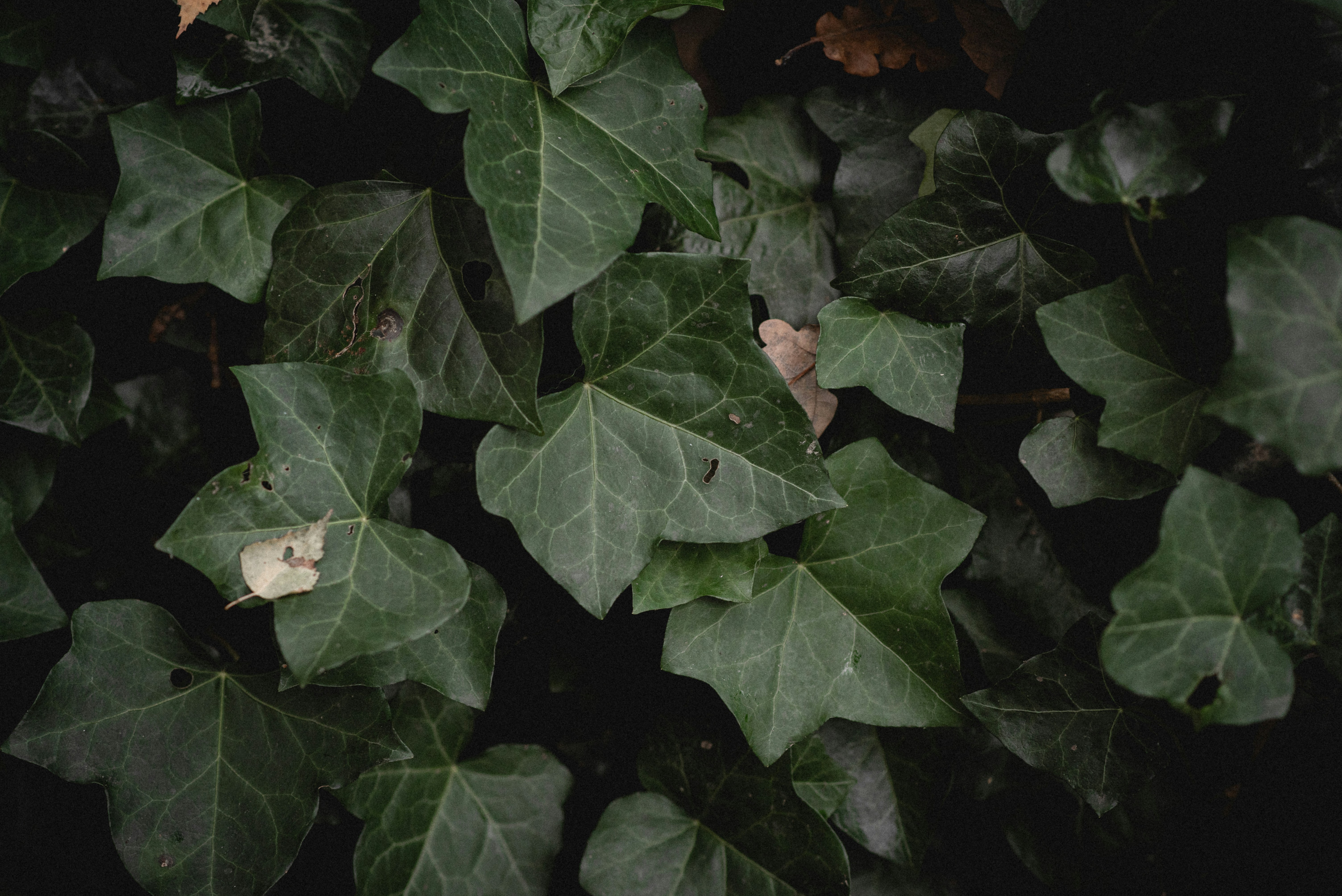 Photo by ellyendeavours