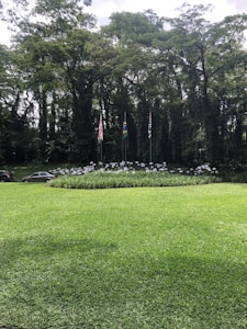 A lush, green lawn stretches out in the foreground, bordered by a circular arrangement of flowering plants. Behind the plants, three flagpoles stand with different flags on display. Tall, dense trees with rich green foliage form a natural backdrop, casting shade over parts of the scene. A couple of cars are parked along the edge of the greenery.