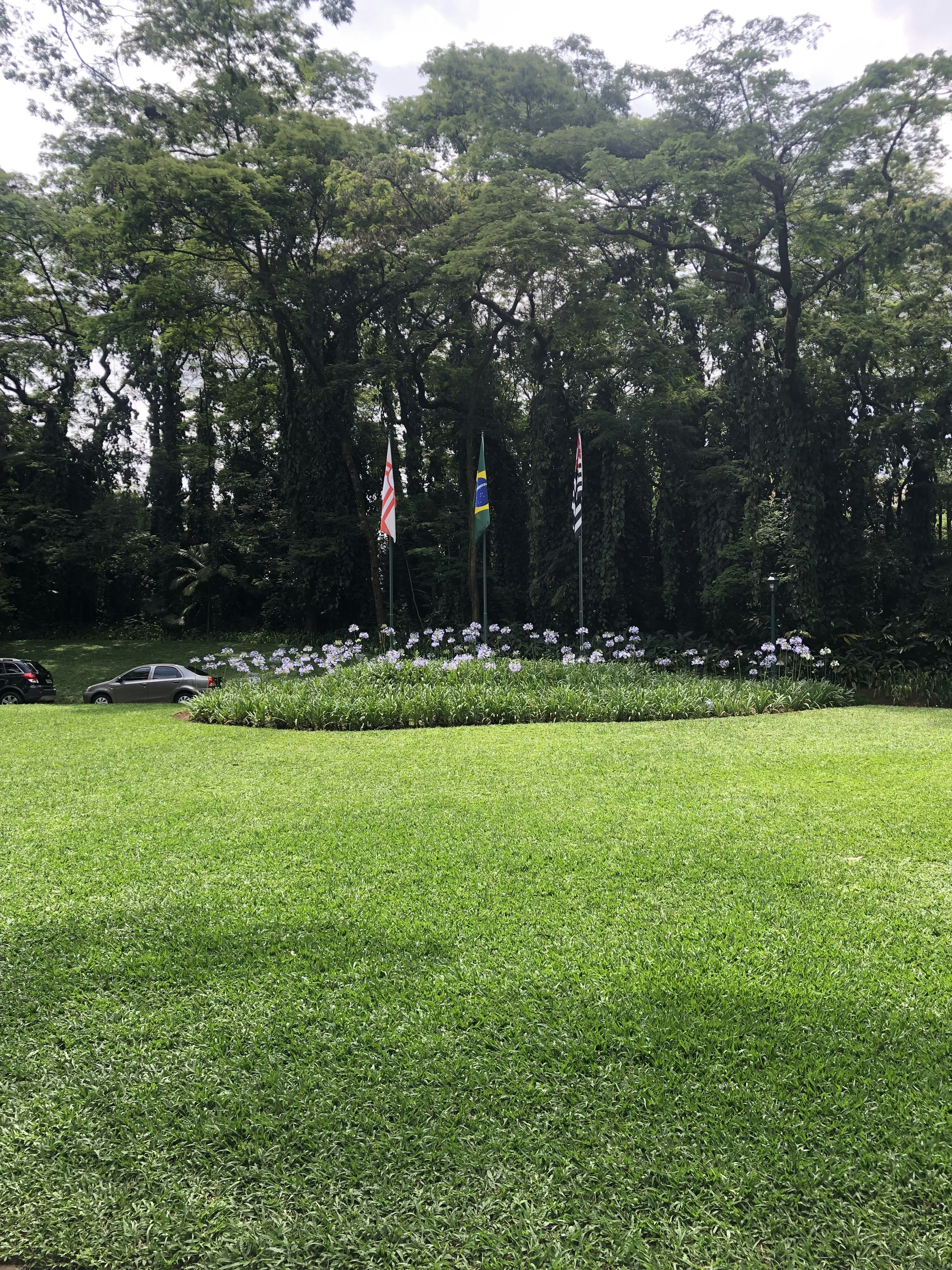 Flower bed renewal