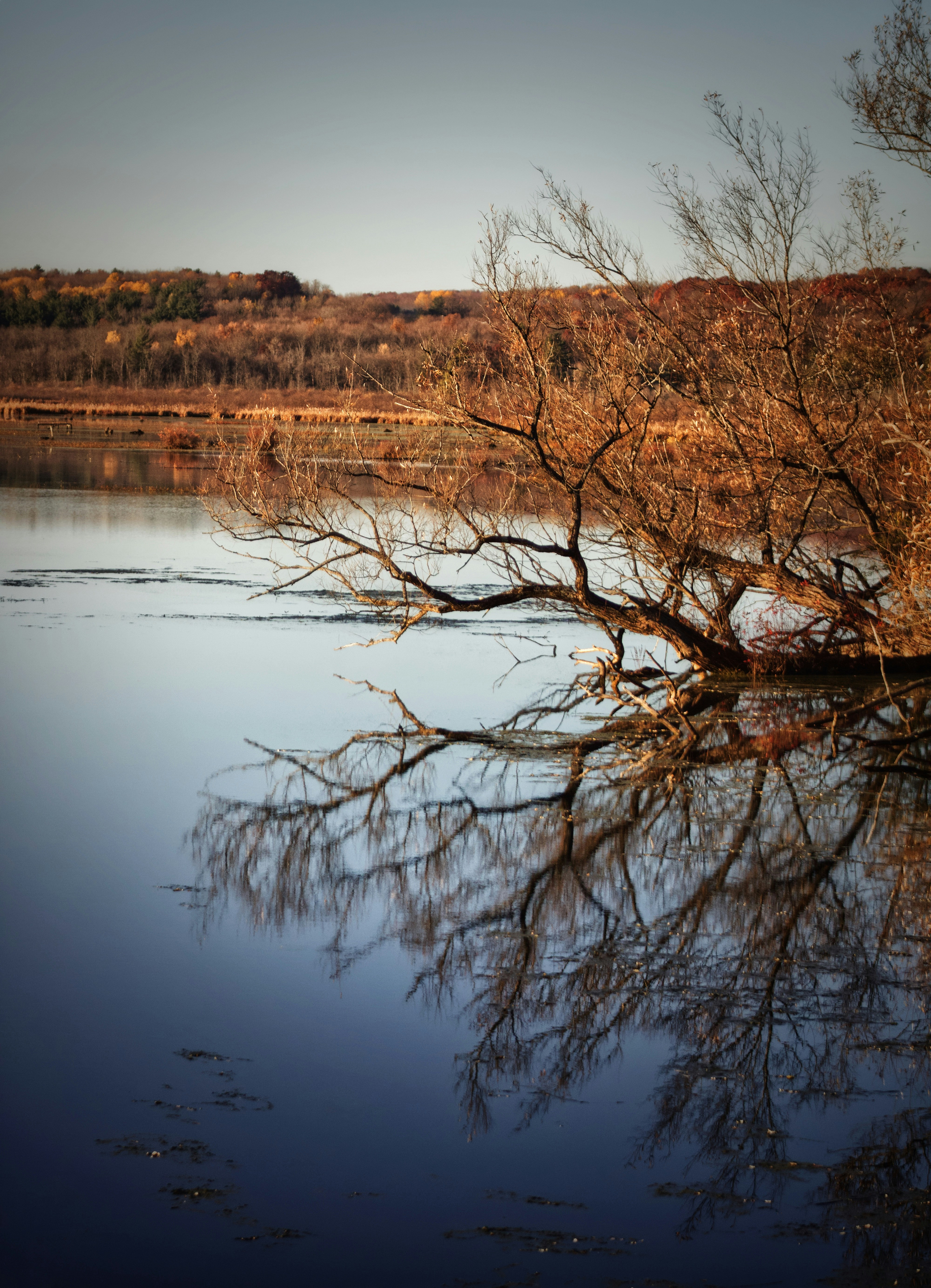 Photo by sbalcita