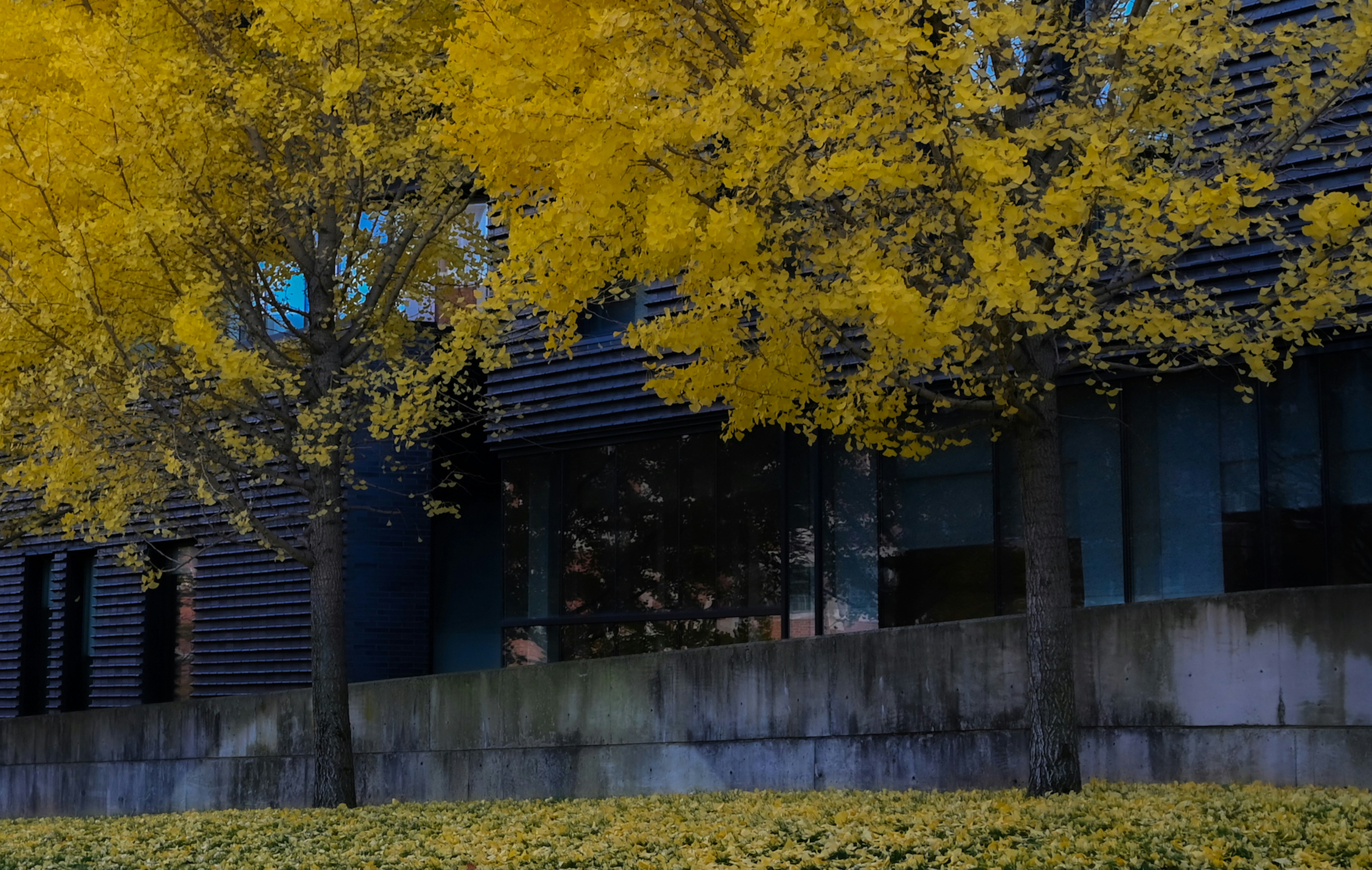 A building with trees around it photo – Free Autumn Image on Unsplash