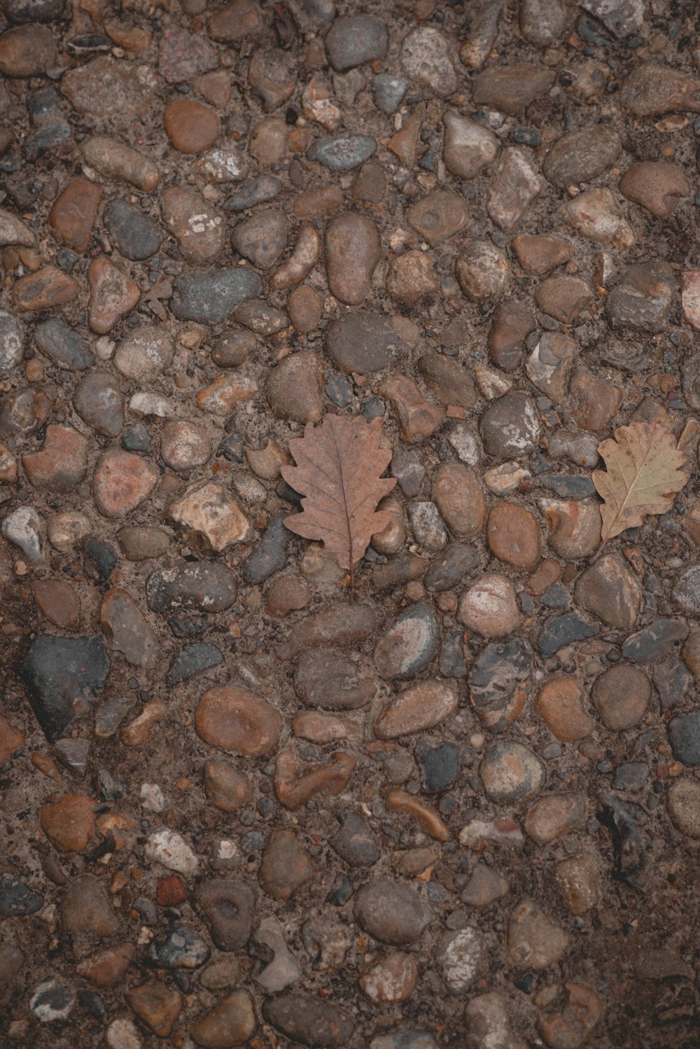 a close up of some rocks