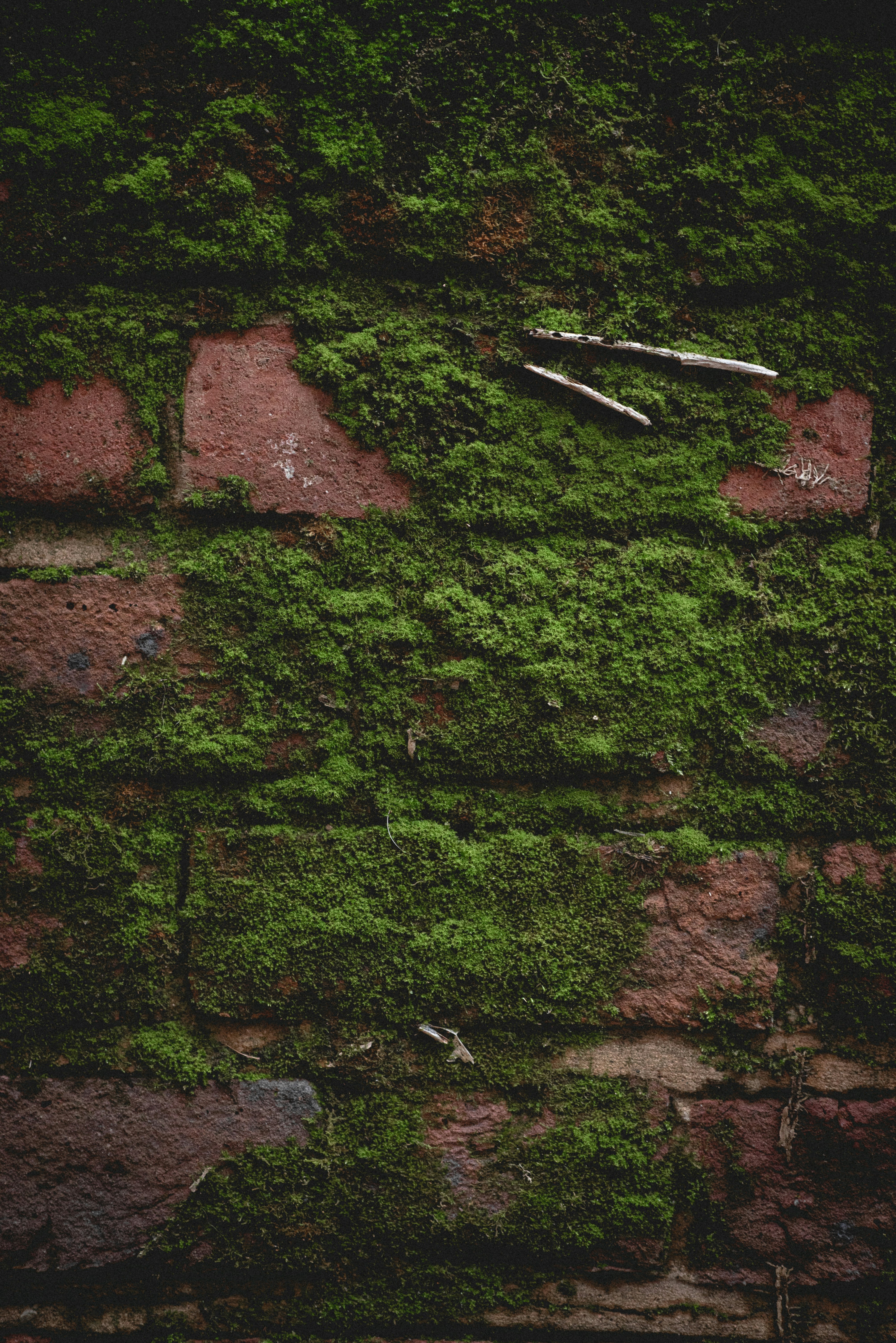 Photo by ellyendeavours