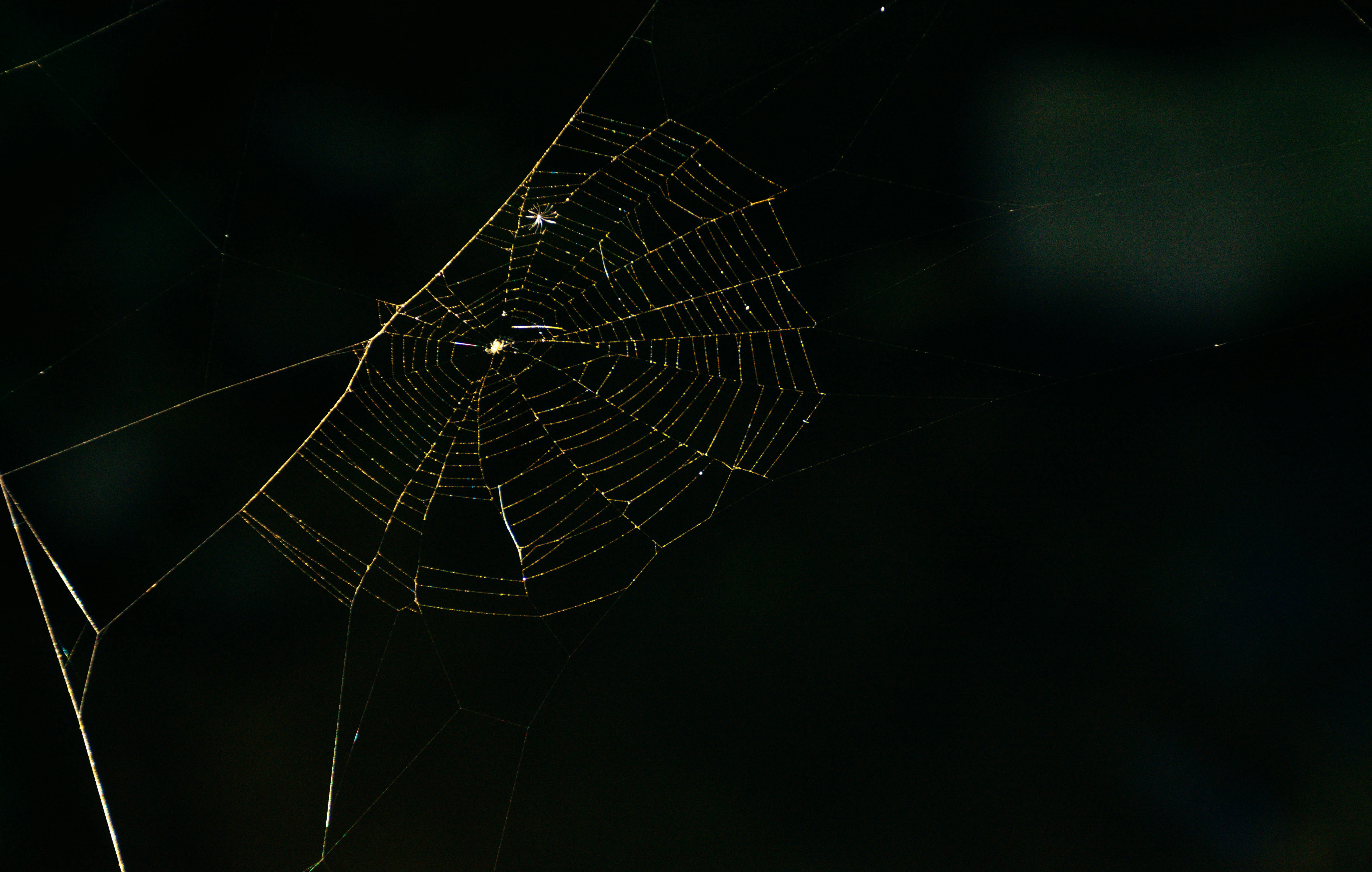 a large black umbrella