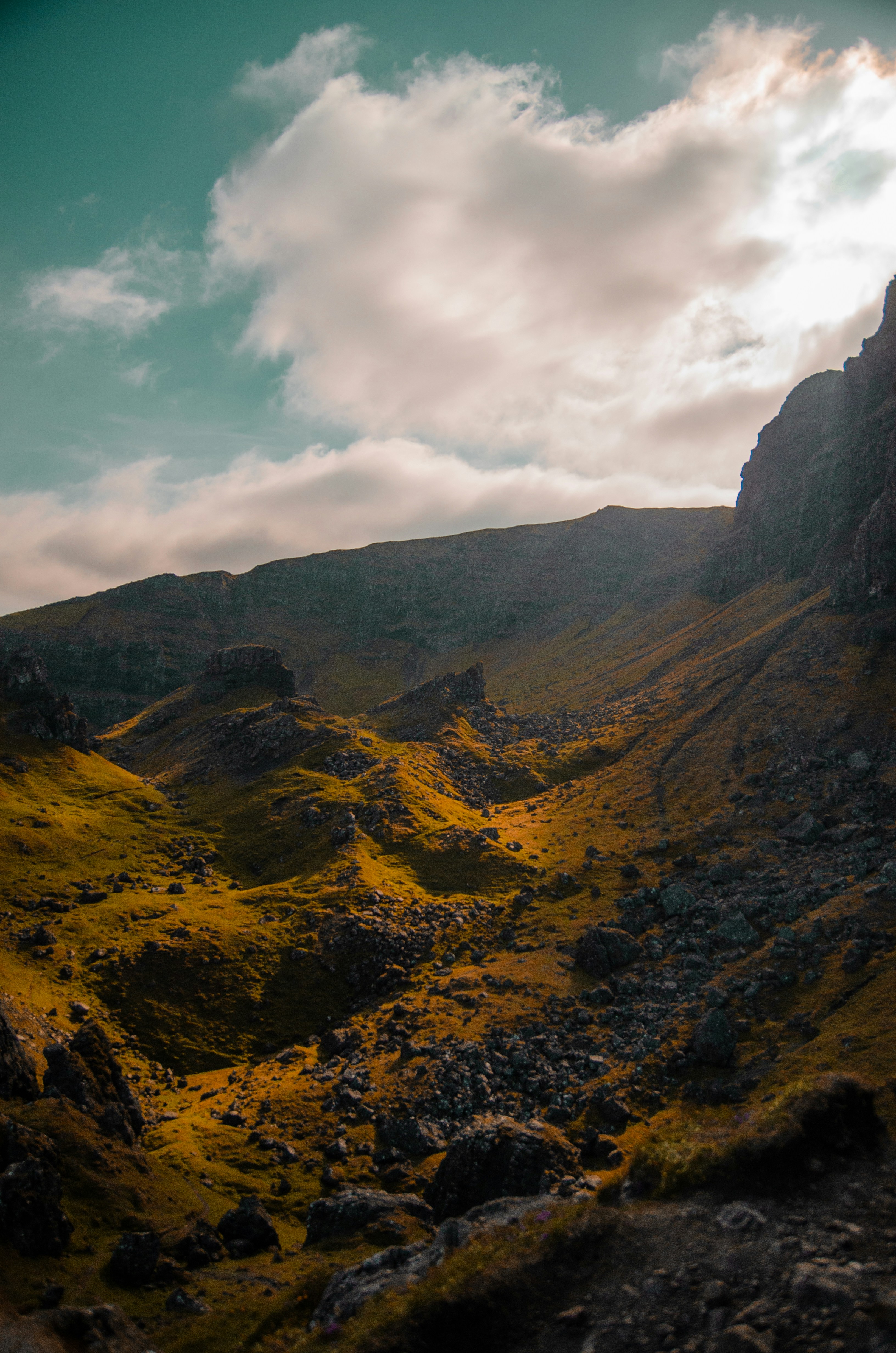 Photo by rhynophotography