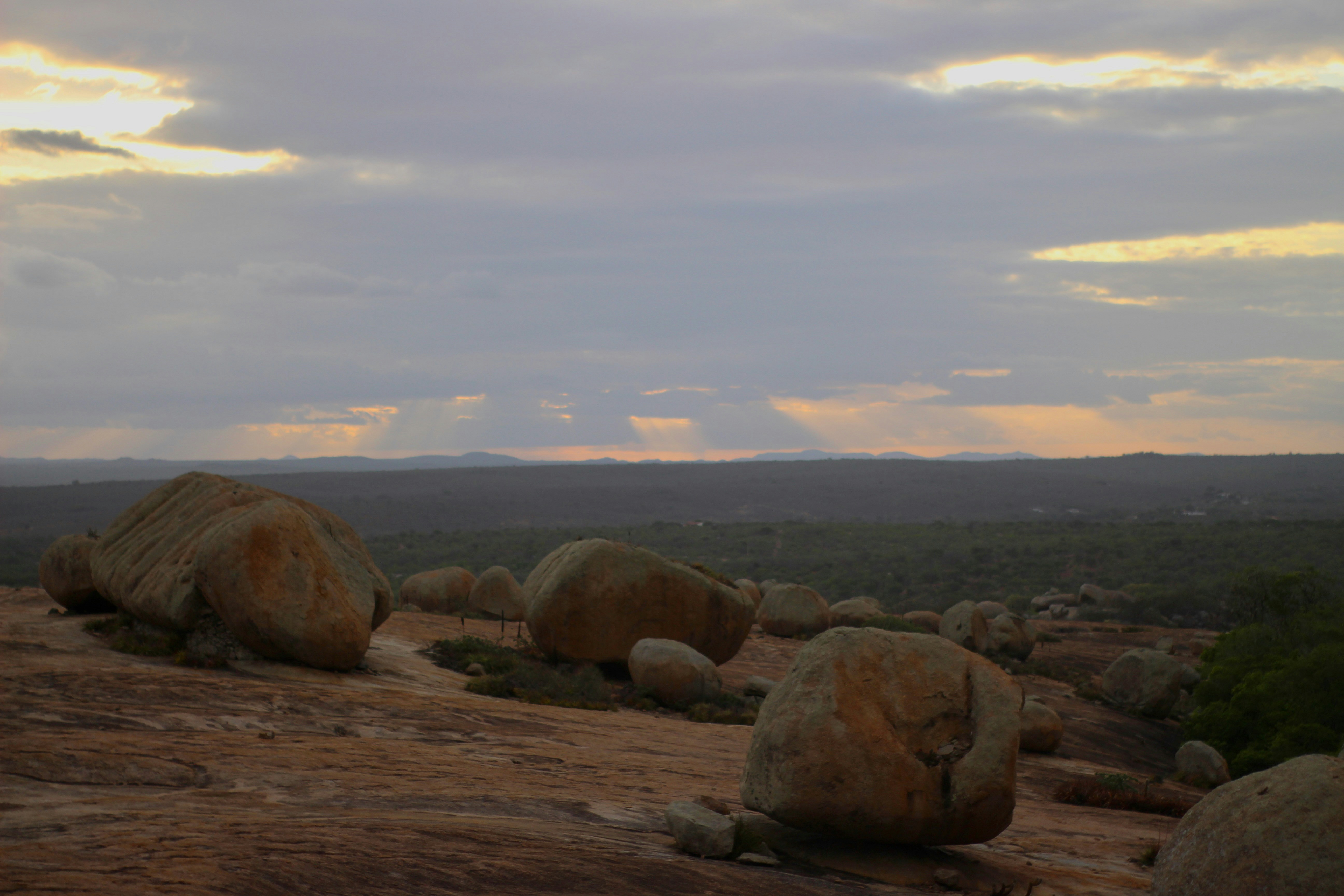 Photo by otaciliomaia