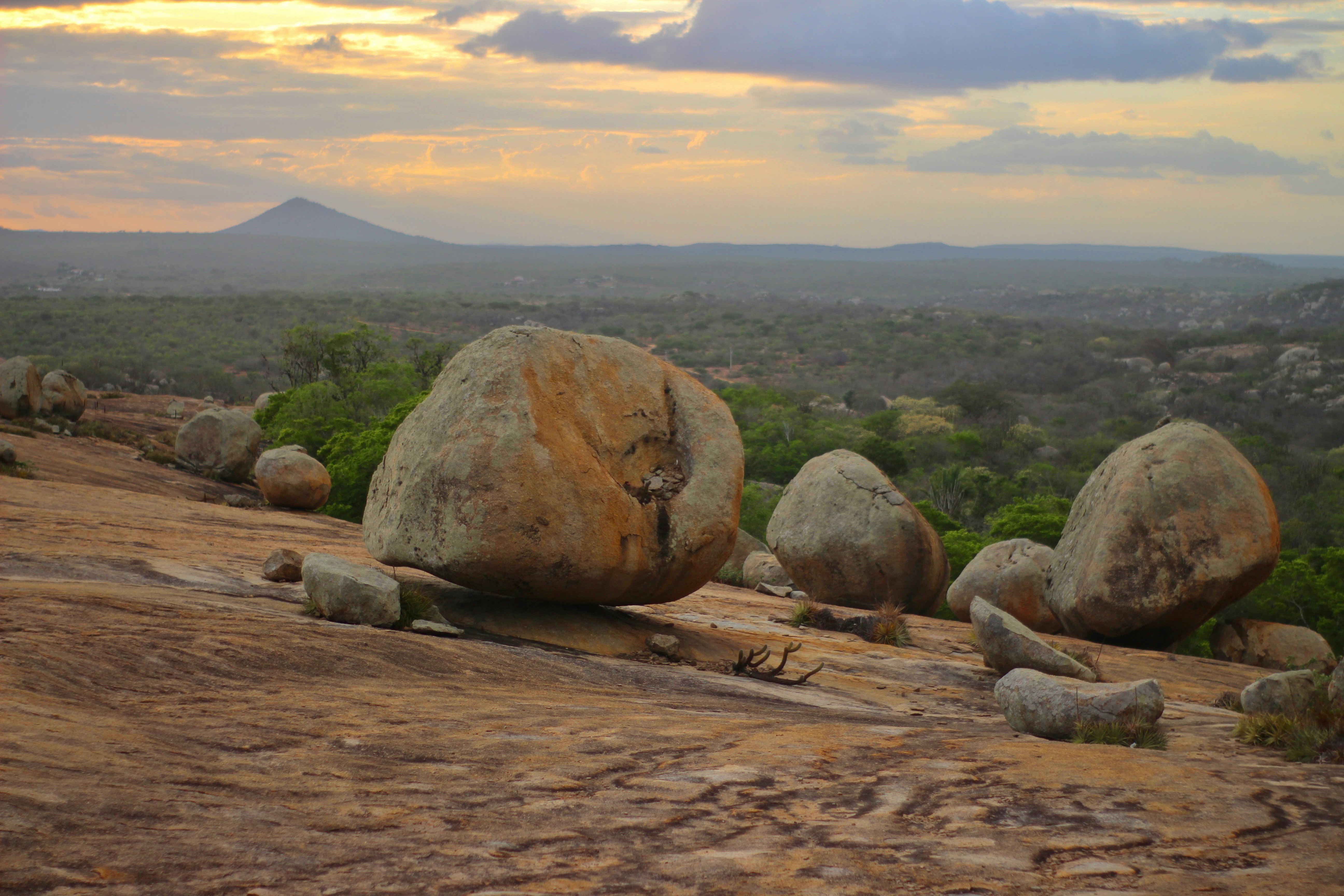 Photo by otaciliomaia