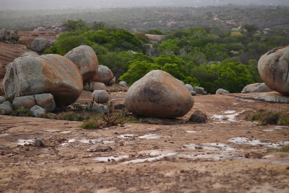 a group of large rocks in a field