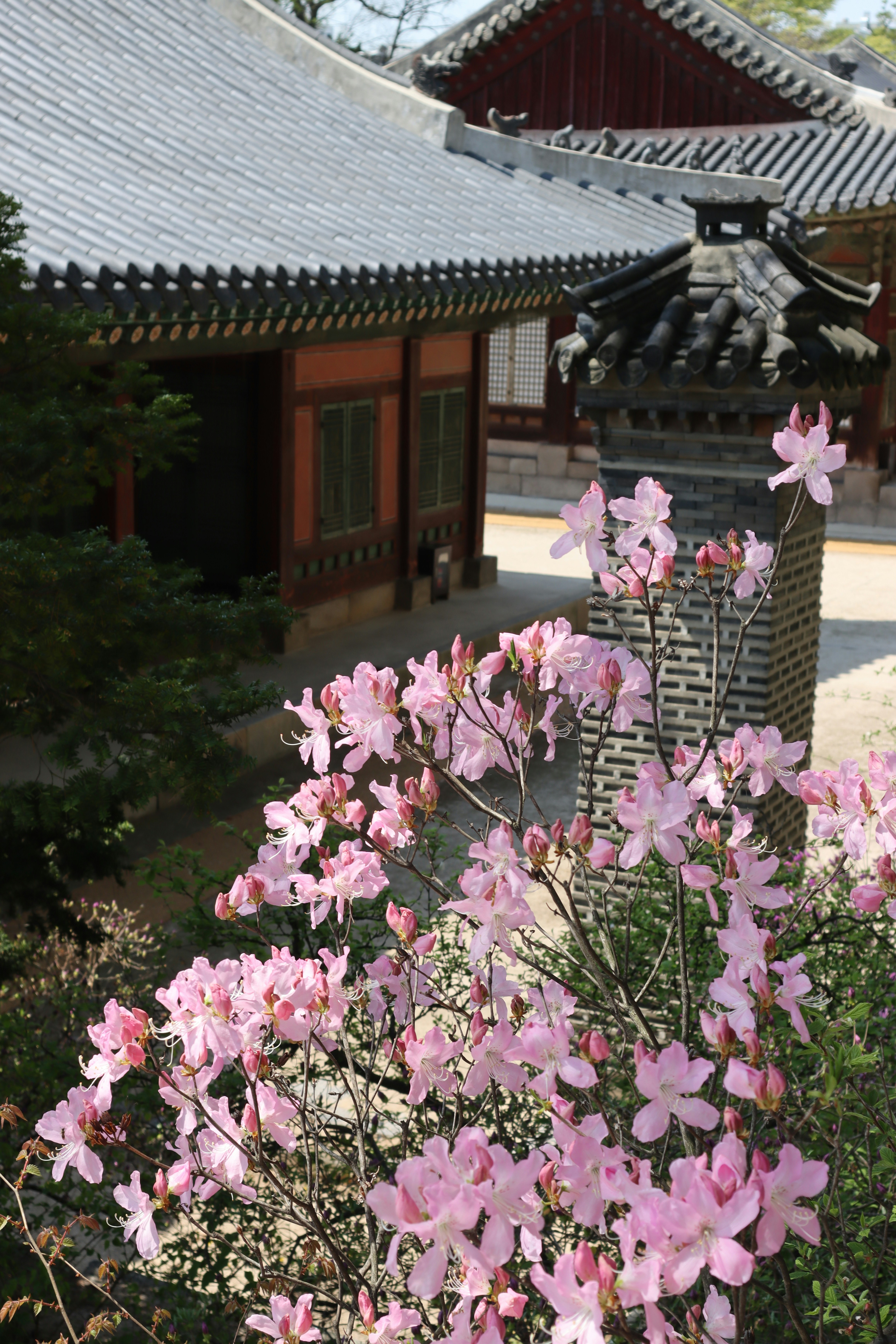 Temple Stays and Mountain Escapes Within the City
