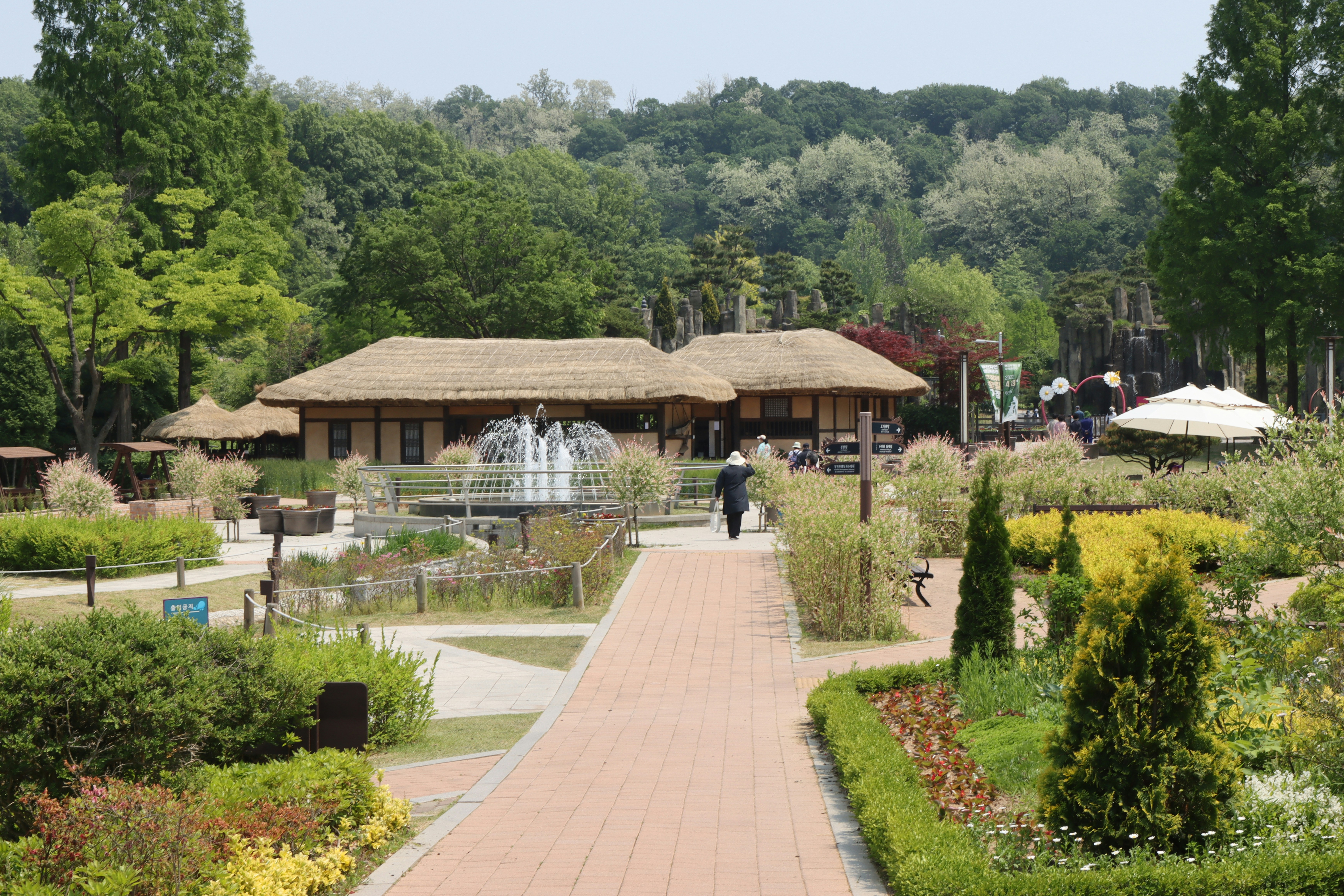 Photo by seoul_lover_lily