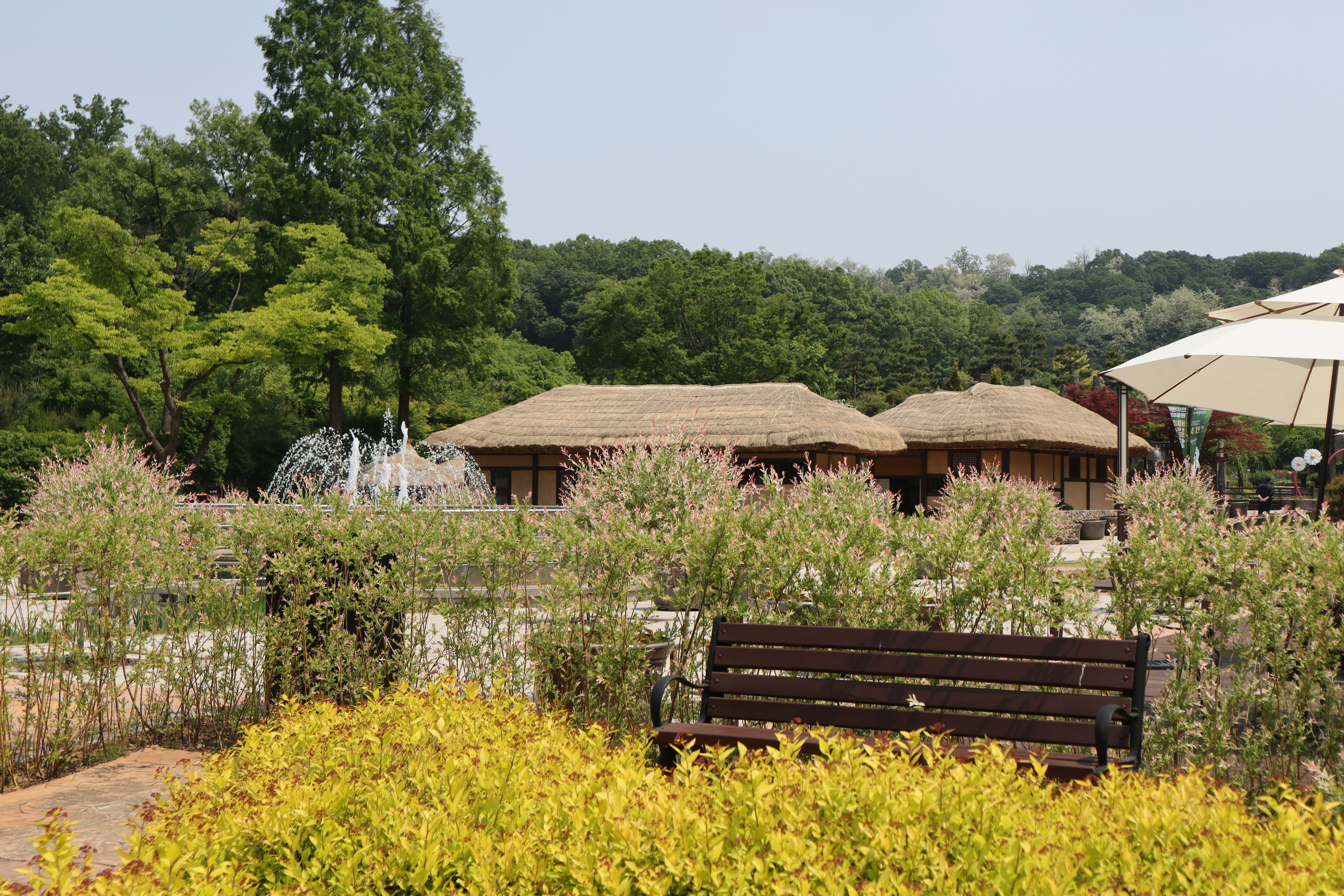 Photo by seoul_lover_lily