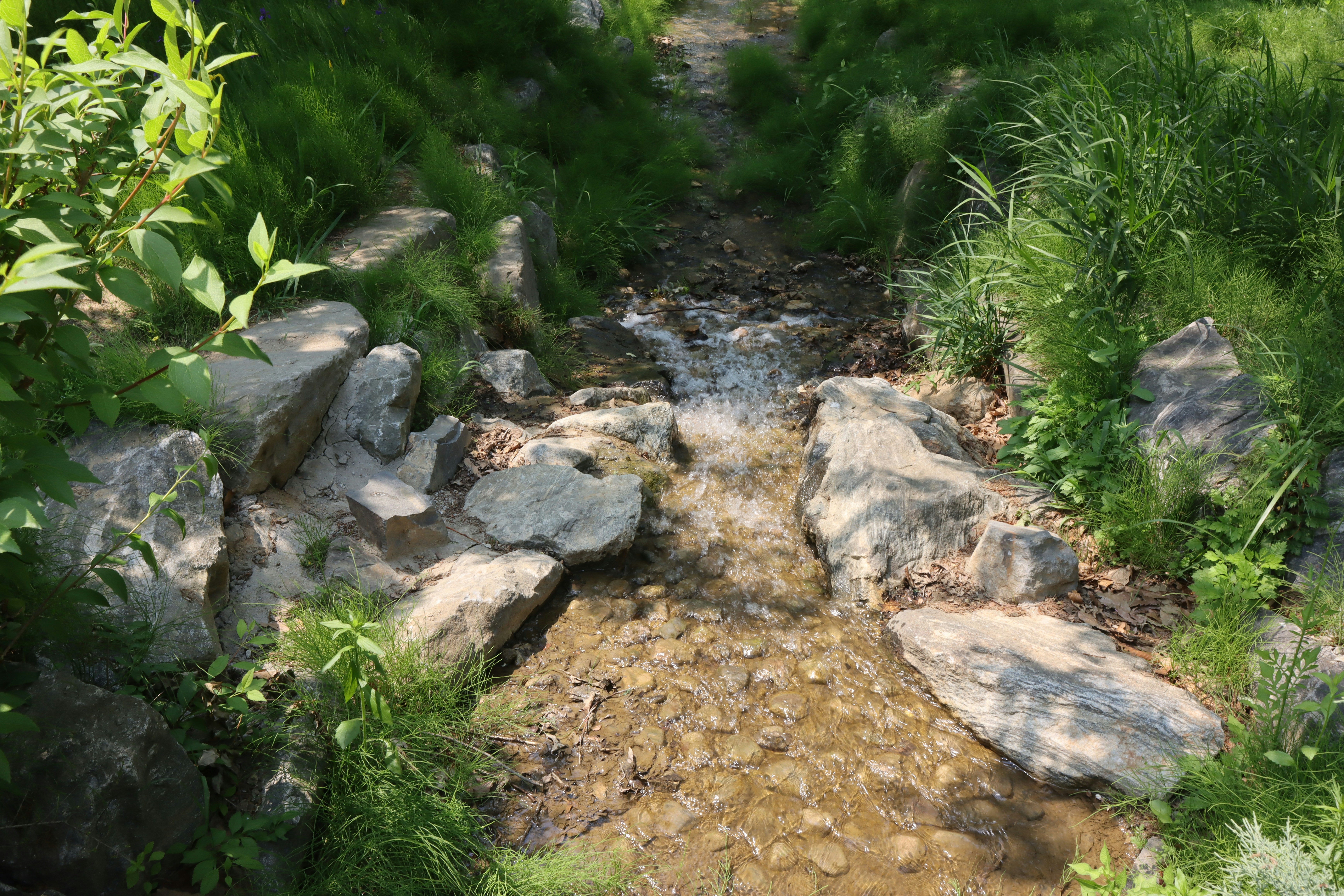 Photo by seoul_lover_lily