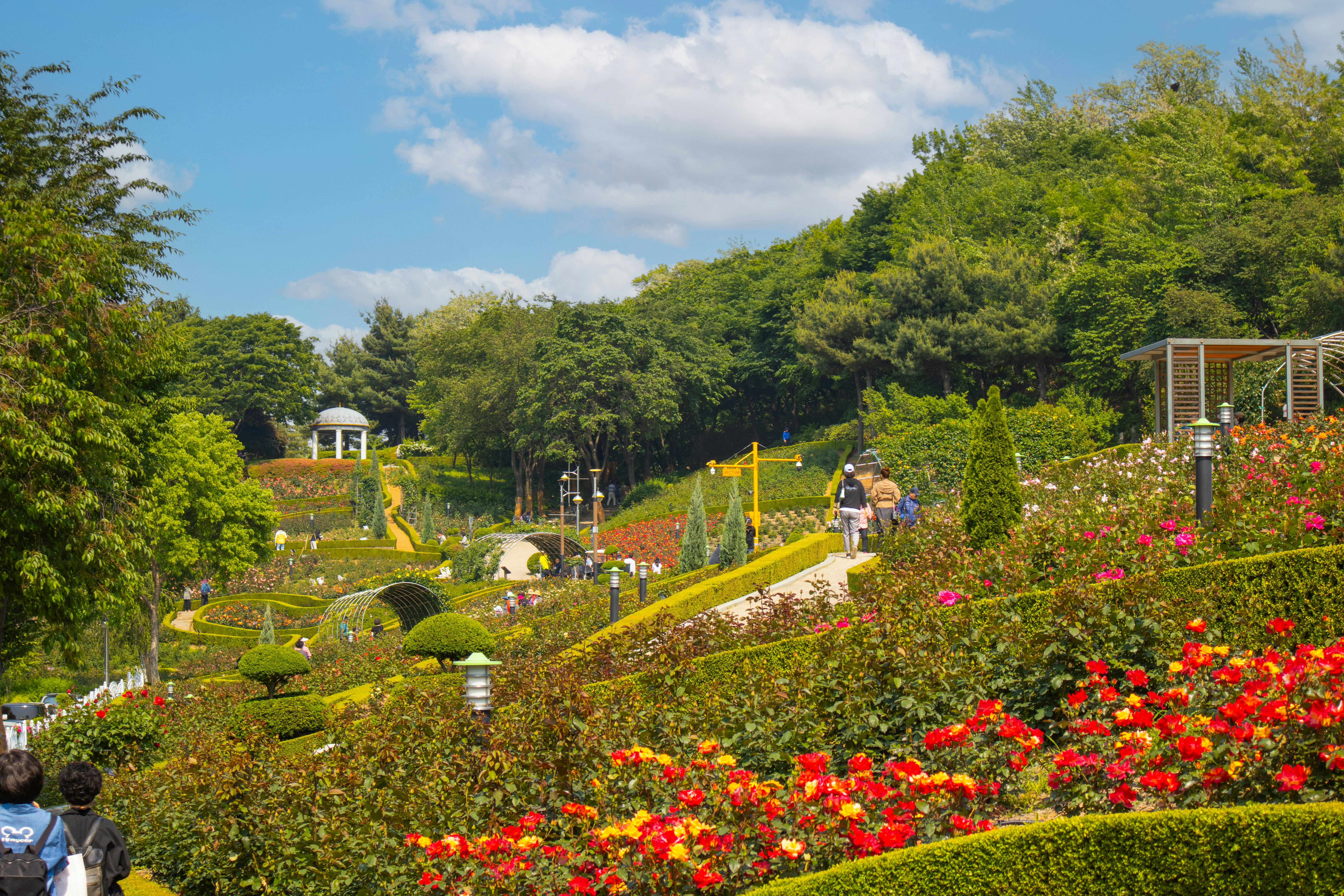 Photo by seoul_lover_lily