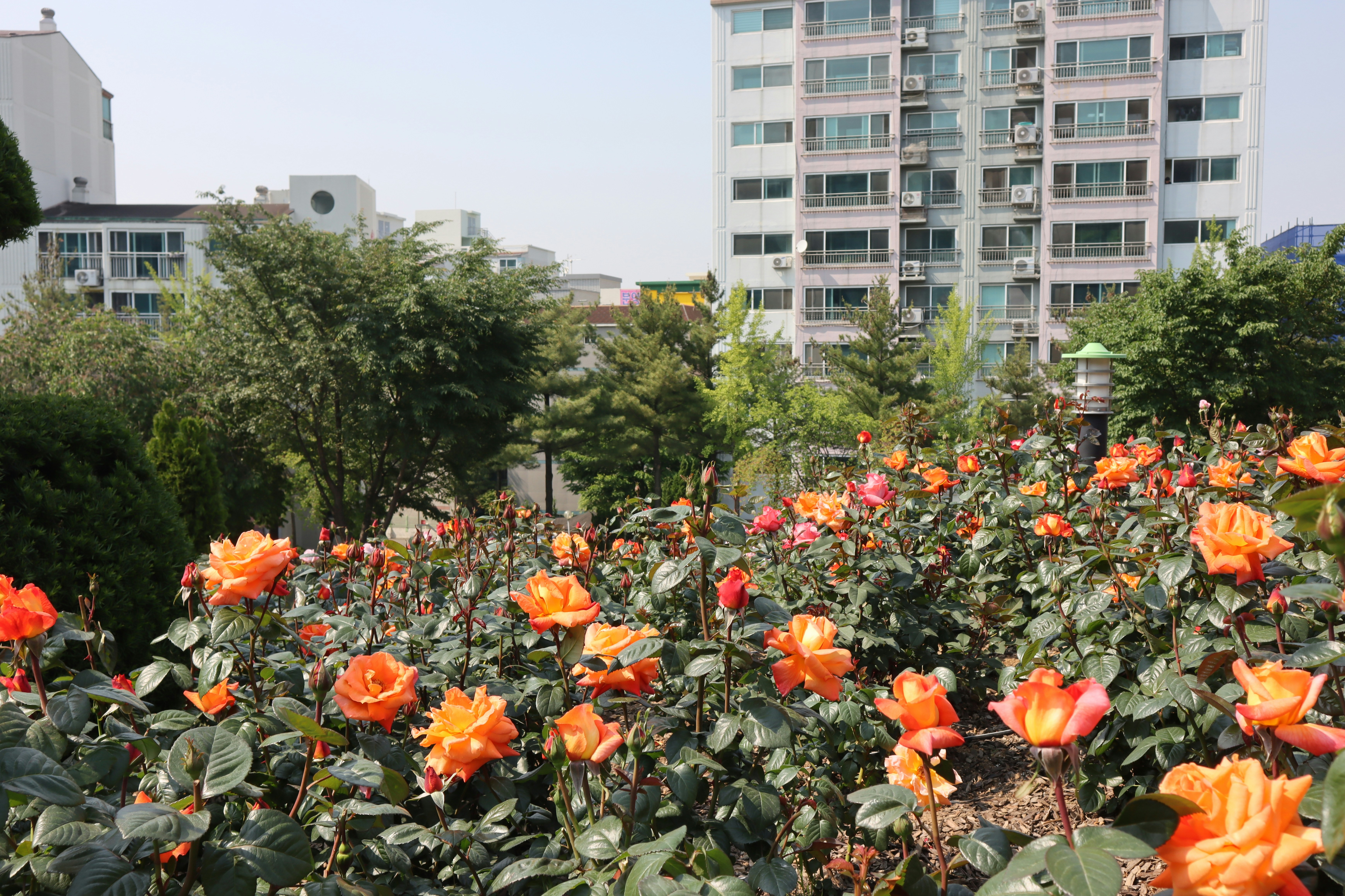 Containers in Floral Park, NY
