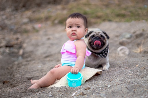 A small child in a pink and white swimsuit sits on sandy ground next to a blue container, with a pug dog wearing a black bandana sitting behind, licking its nose.